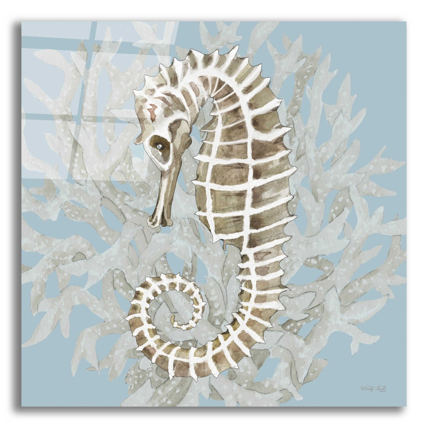 Epic Art 'Coral Seahorse II' by Cindy Jacobs, Acrylic Glass Wall Art,12x12