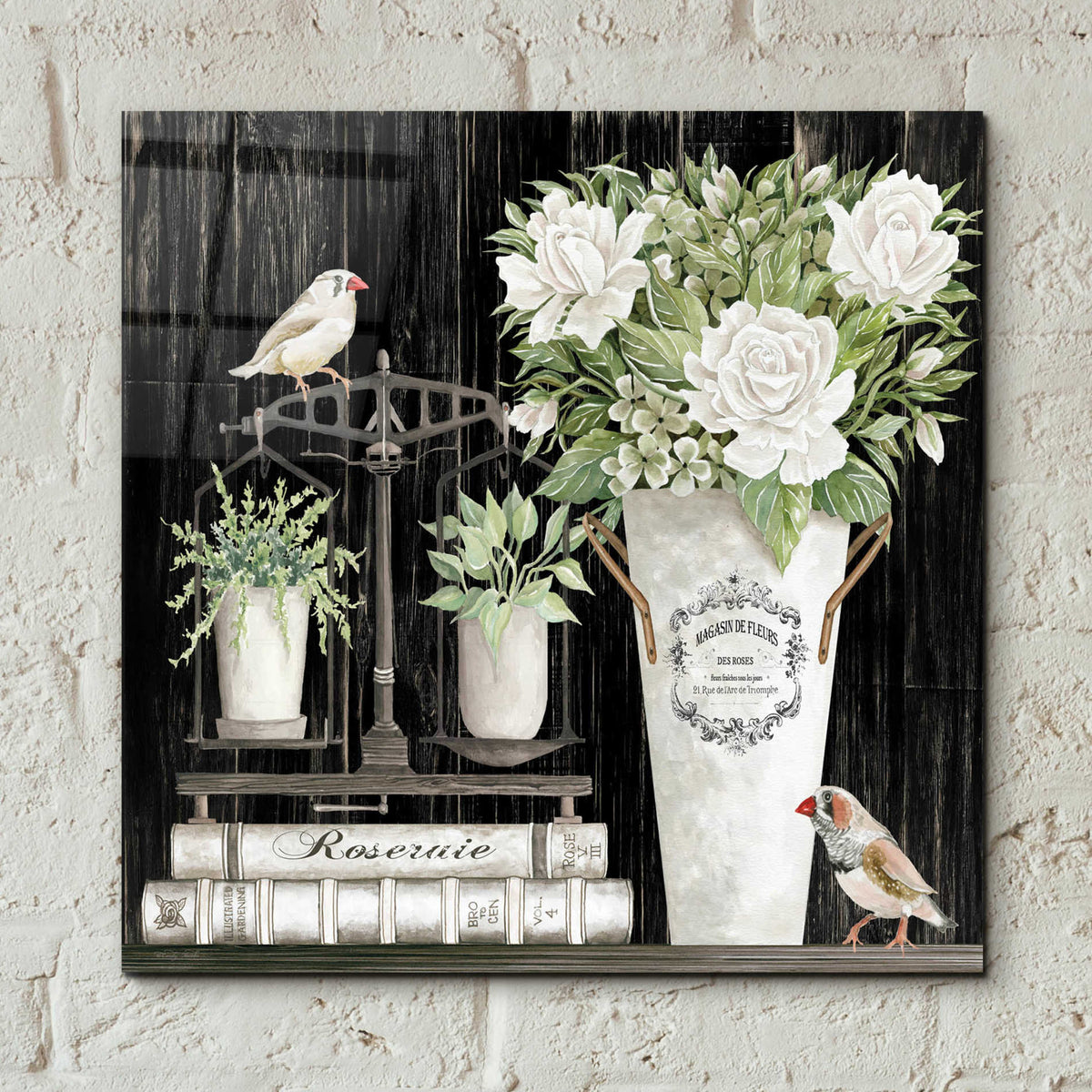 Epic Art 'Roses and Scales' by Cindy Jacobs, Acrylic Glass Wall Art,12x12