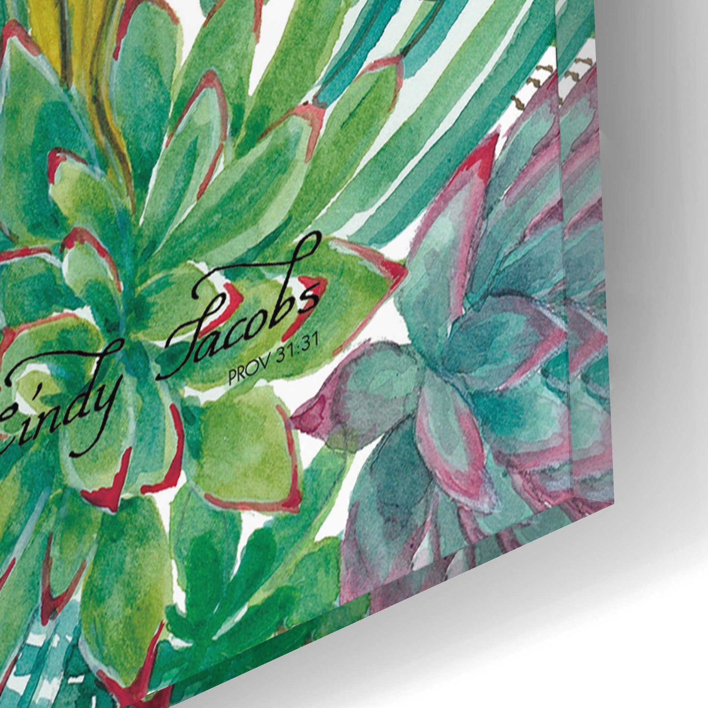 Epic Art 'Bless This Home Succulents' by Cindy Jacobs, Acrylic Glass Wall Art,12x12