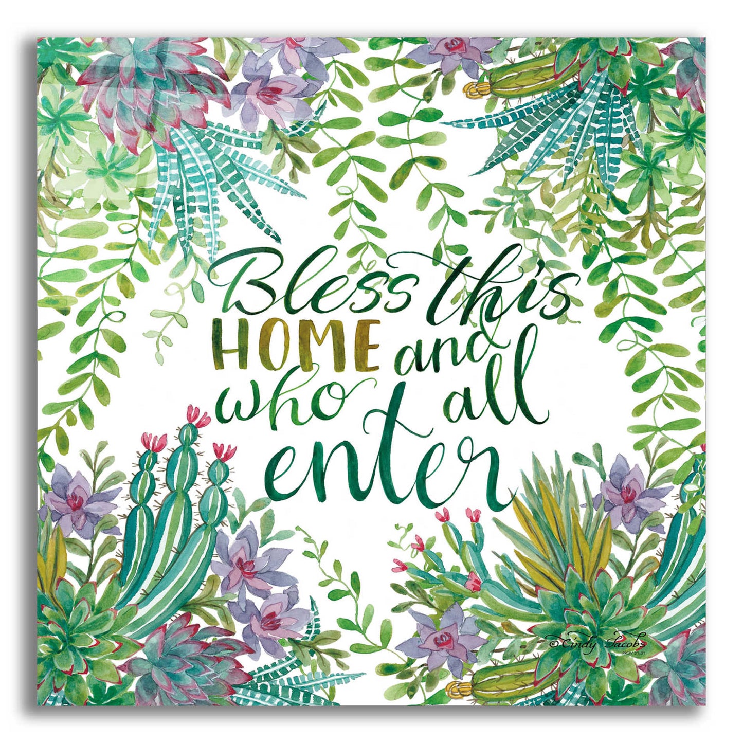 Epic Art 'Bless This Home Succulents' by Cindy Jacobs, Acrylic Glass Wall Art,12x12