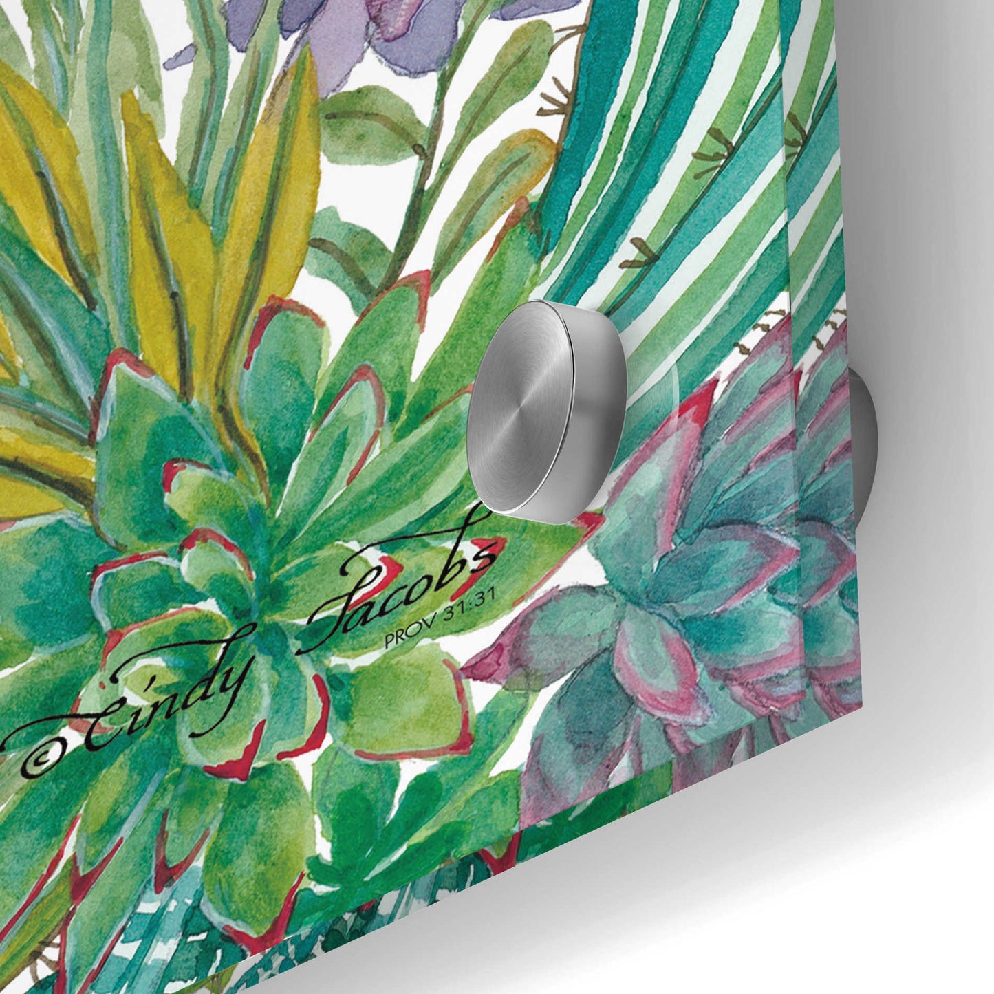 Epic Art 'Bless This Home Succulents' by Cindy Jacobs, Acrylic Glass Wall Art,24x24