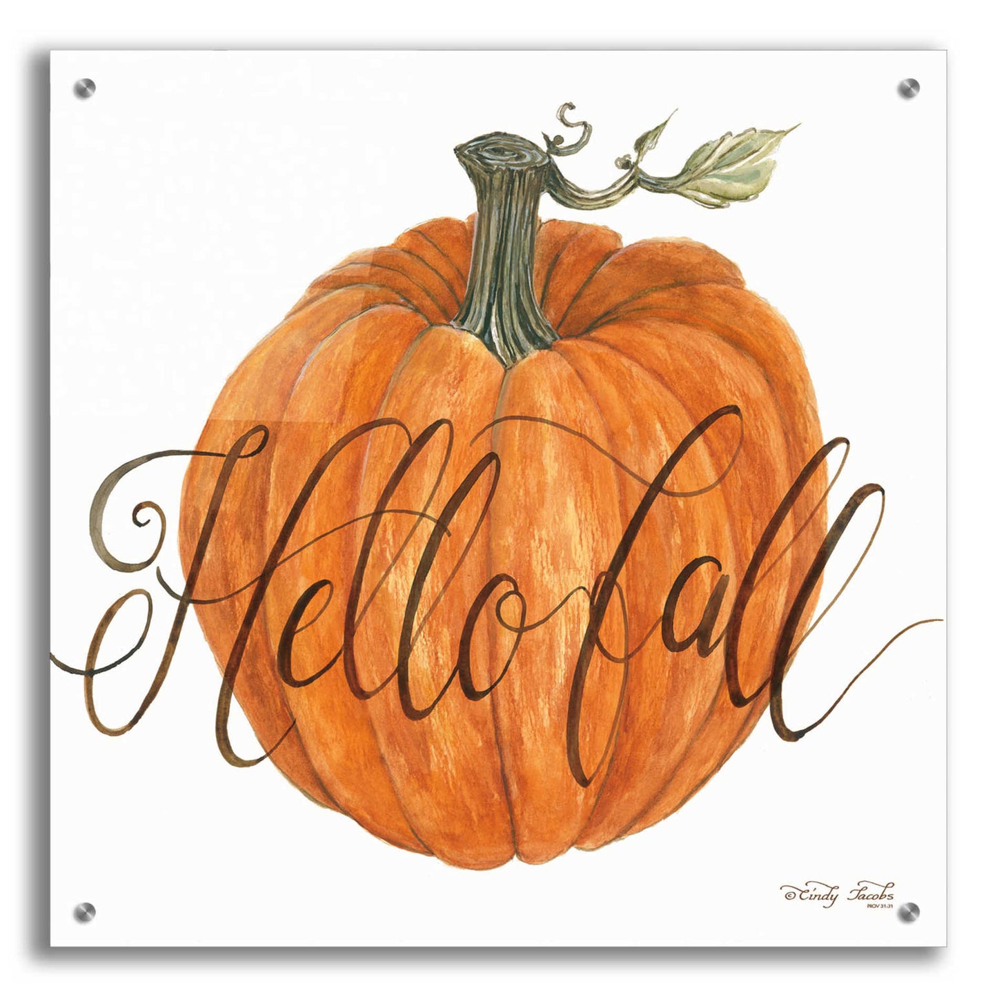 Epic Art 'Hello Fall Pumpkin' by Cindy Jacobs, Acrylic Glass Wall Art,24x24