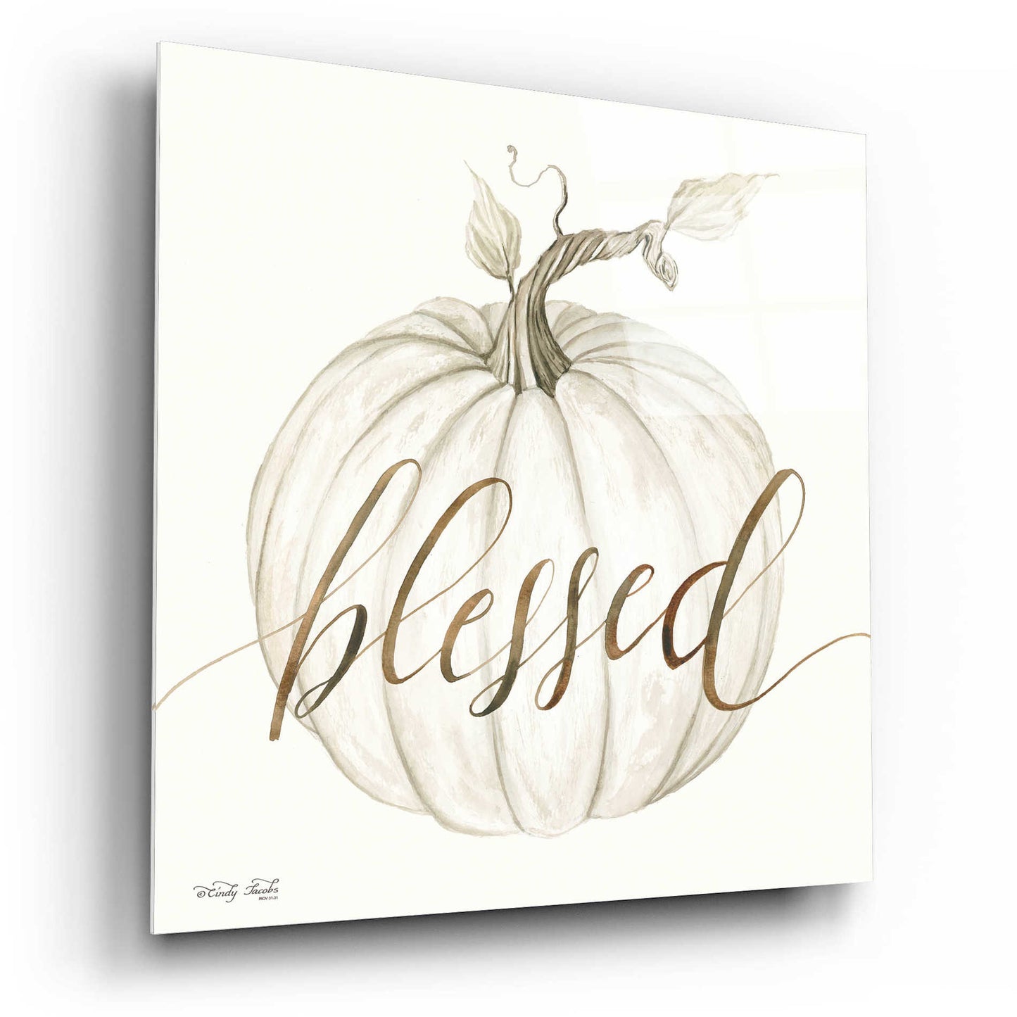 Epic Art 'Blessed Pumpkin' by Cindy Jacobs, Acrylic Glass Wall Art,12x12