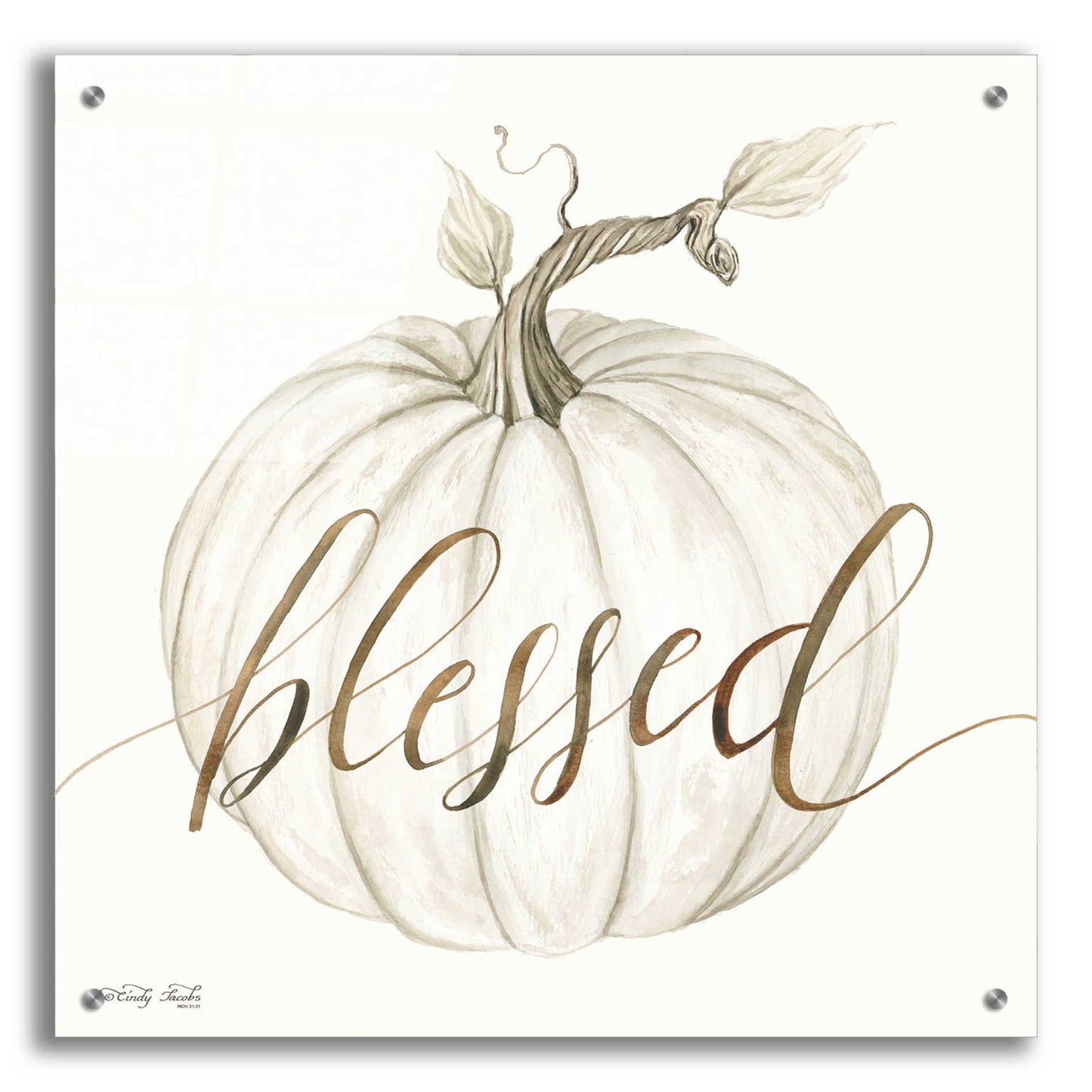 Epic Art 'Blessed Pumpkin' by Cindy Jacobs, Acrylic Glass Wall Art,24x24