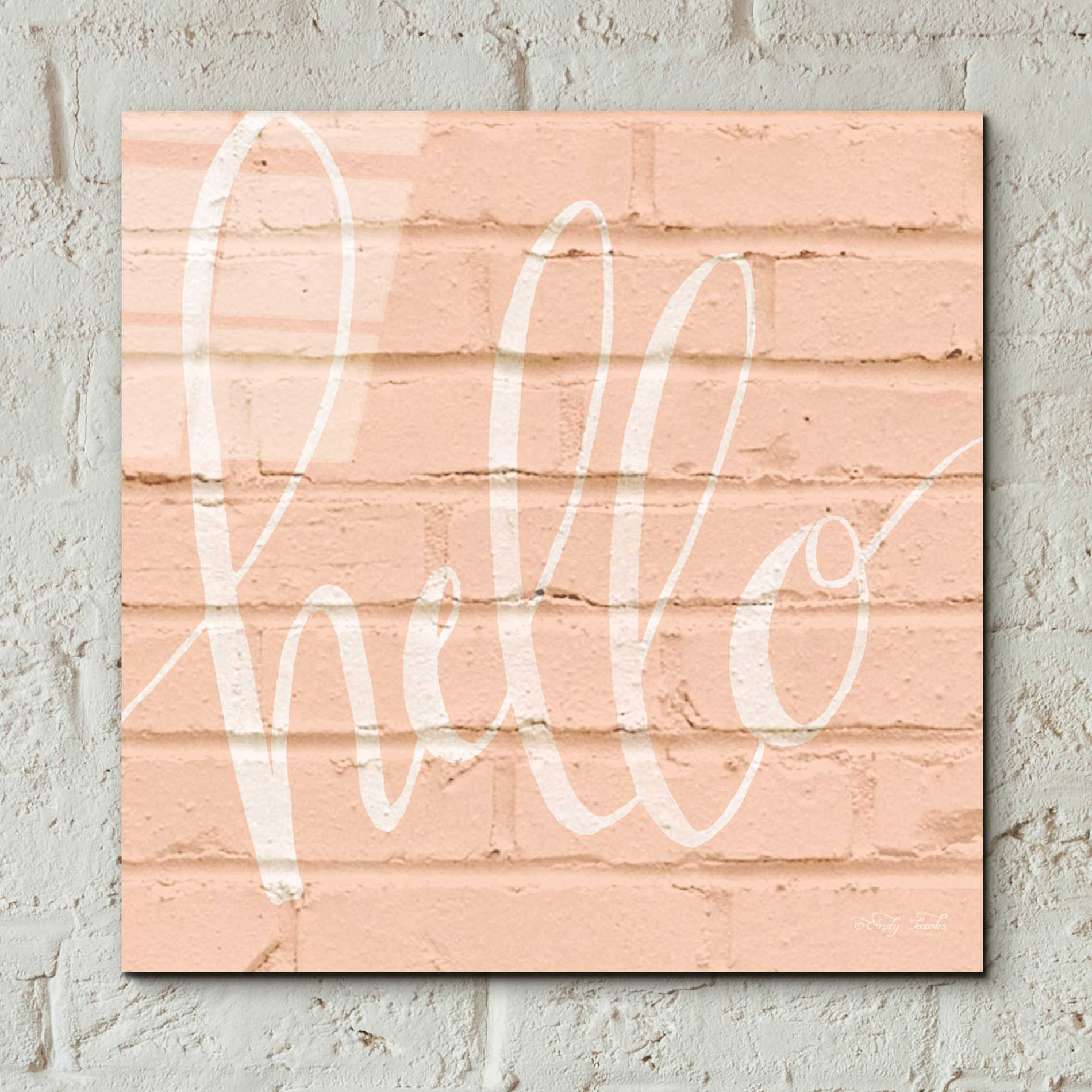 Epic Art 'Hello Pink' by Cindy Jacobs, Acrylic Glass Wall Art,12x12