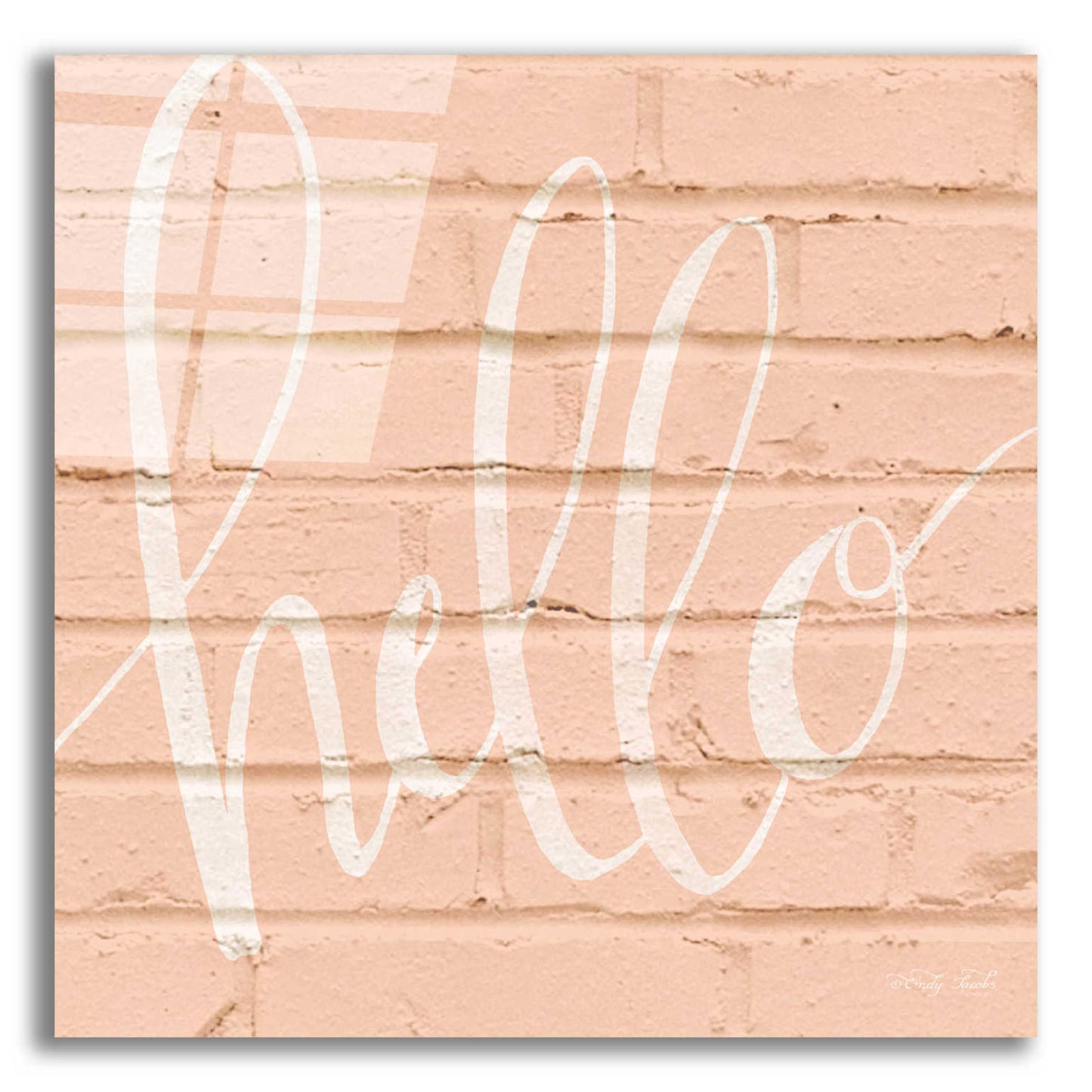 Epic Art 'Hello Pink' by Cindy Jacobs, Acrylic Glass Wall Art,12x12