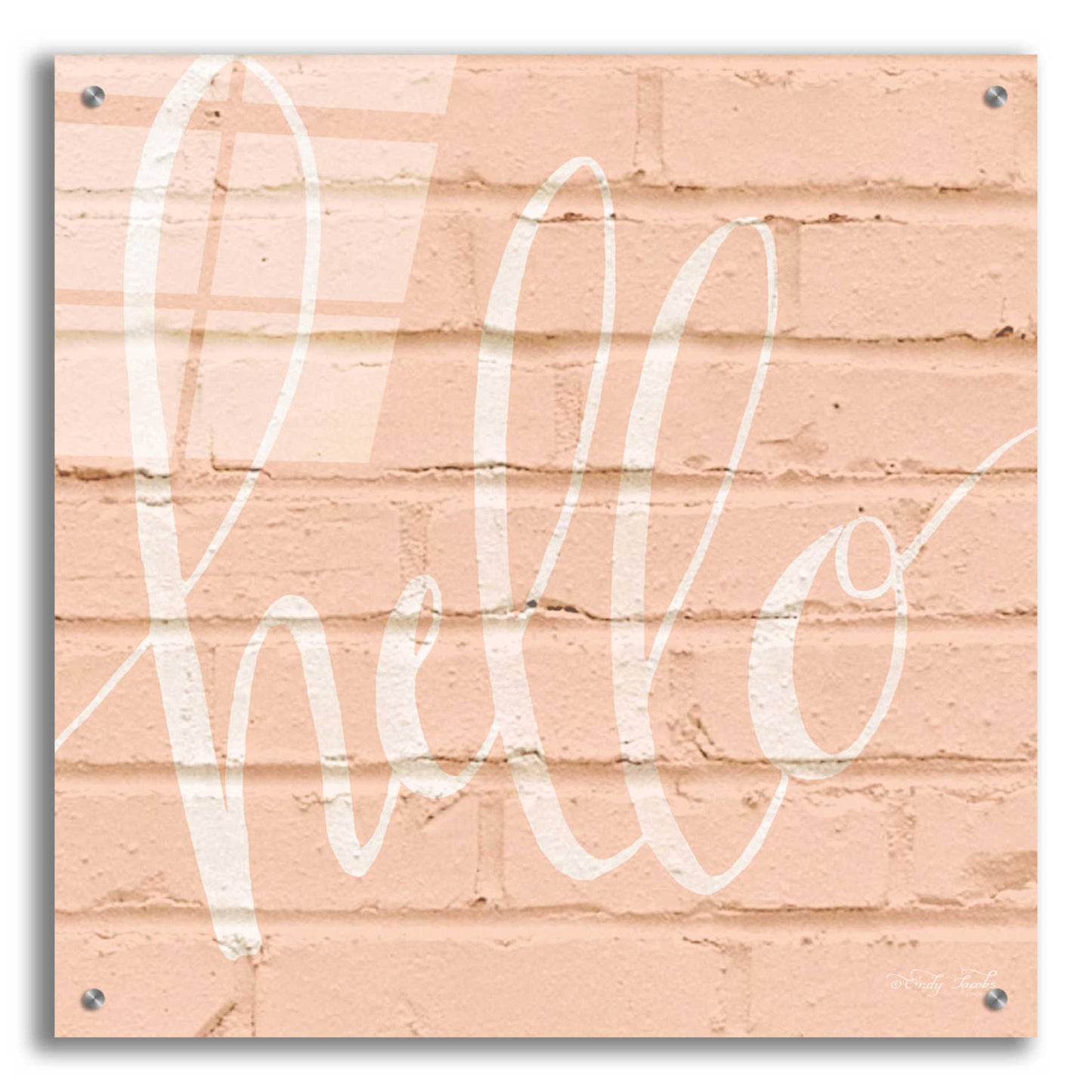 Epic Art 'Hello Pink' by Cindy Jacobs, Acrylic Glass Wall Art,24x24