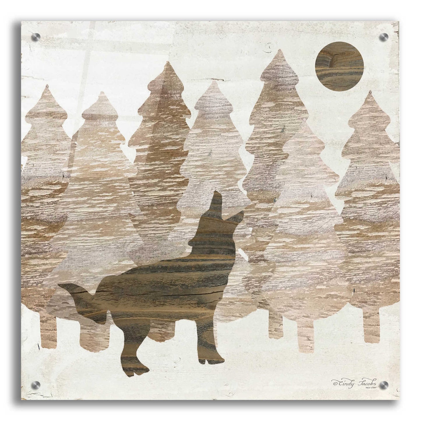 Epic Art 'Howl at the Moon I' by Cindy Jacobs, Acrylic Glass Wall Art,24x24