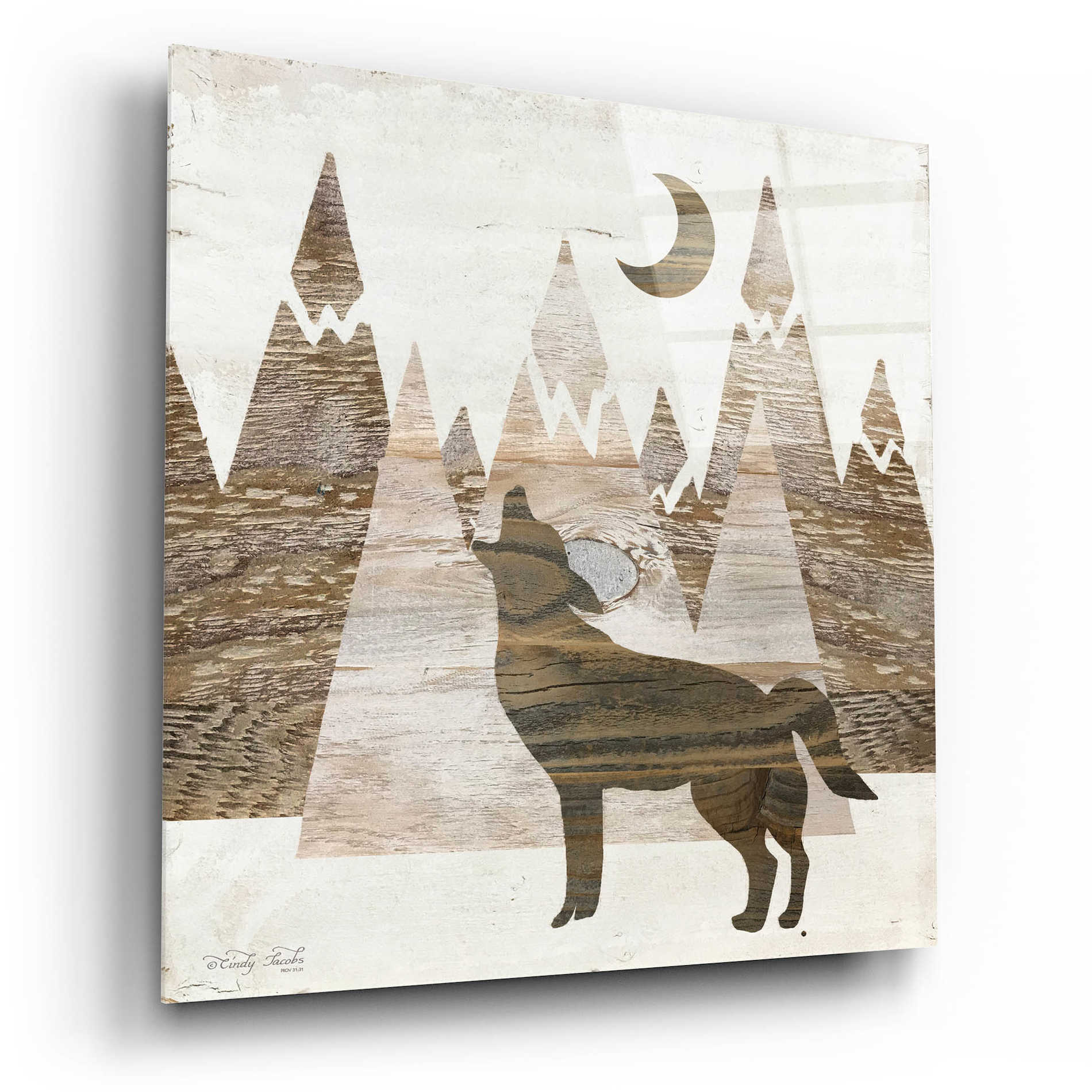 Epic Art 'Howl at the Moon II' by Cindy Jacobs, Acrylic Glass Wall Art,12x12