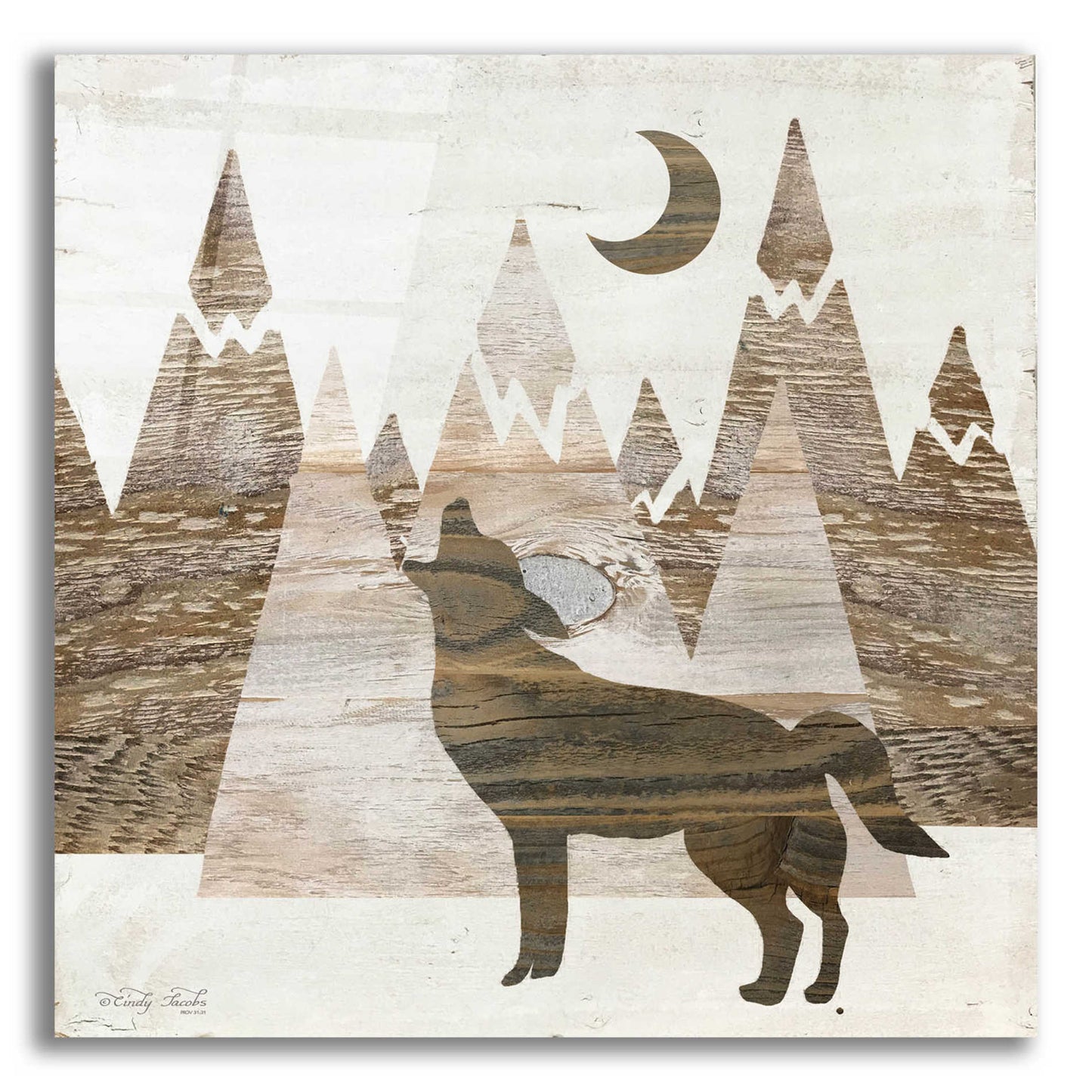 Epic Art 'Howl at the Moon II' by Cindy Jacobs, Acrylic Glass Wall Art