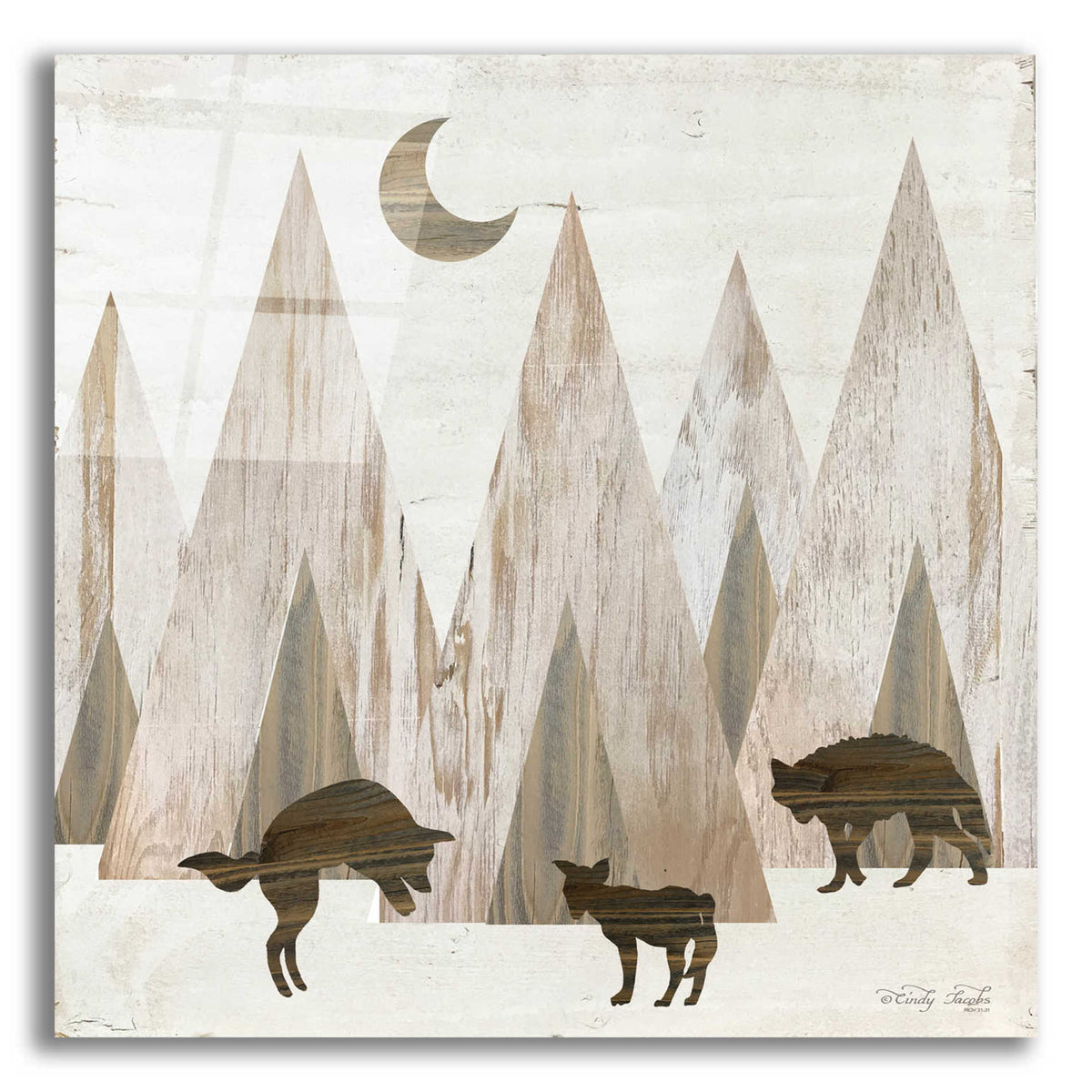 Epic Art 'Night Play' by Cindy Jacobs, Acrylic Glass Wall Art
