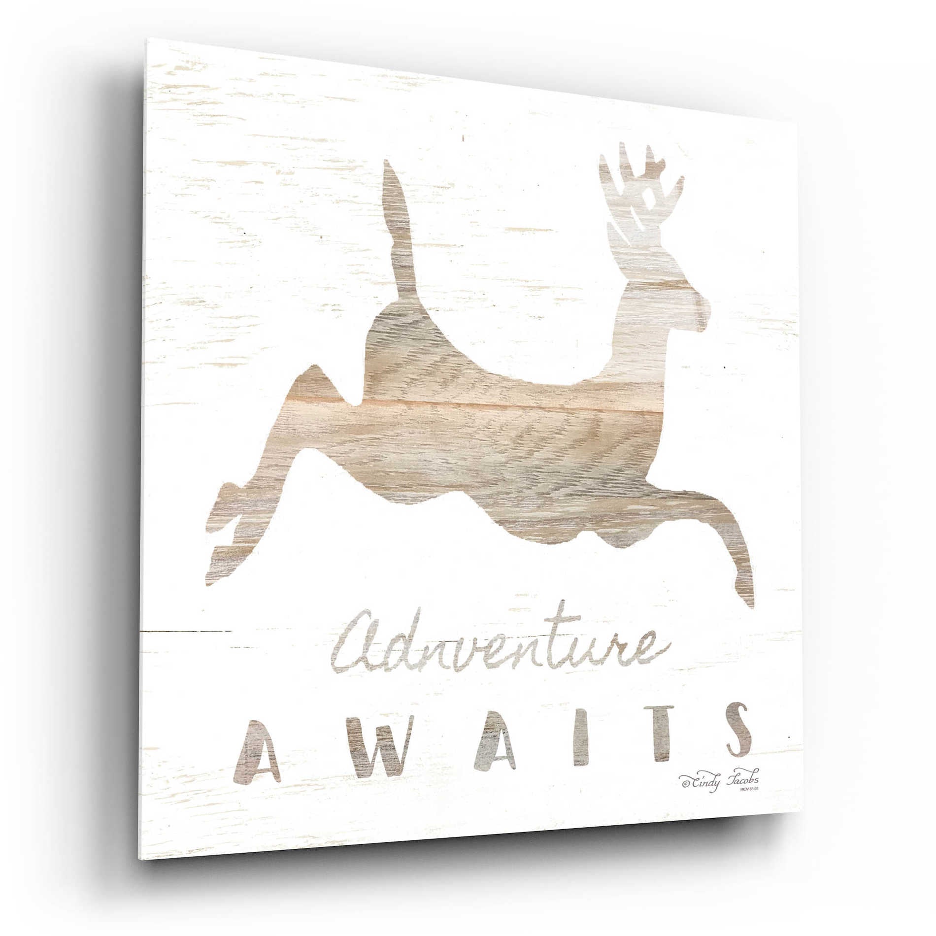 Epic Art 'Adventure Awaits Deer' by Cindy Jacobs, Acrylic Glass Wall Art,12x12