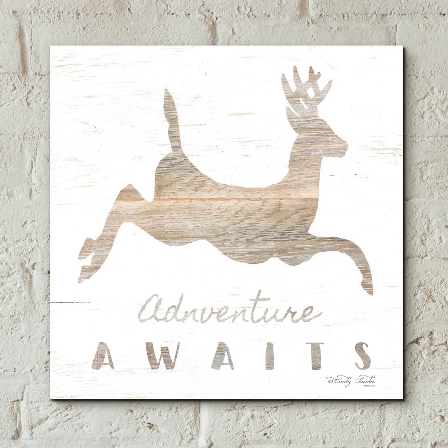 Epic Art 'Adventure Awaits Deer' by Cindy Jacobs, Acrylic Glass Wall Art,12x12