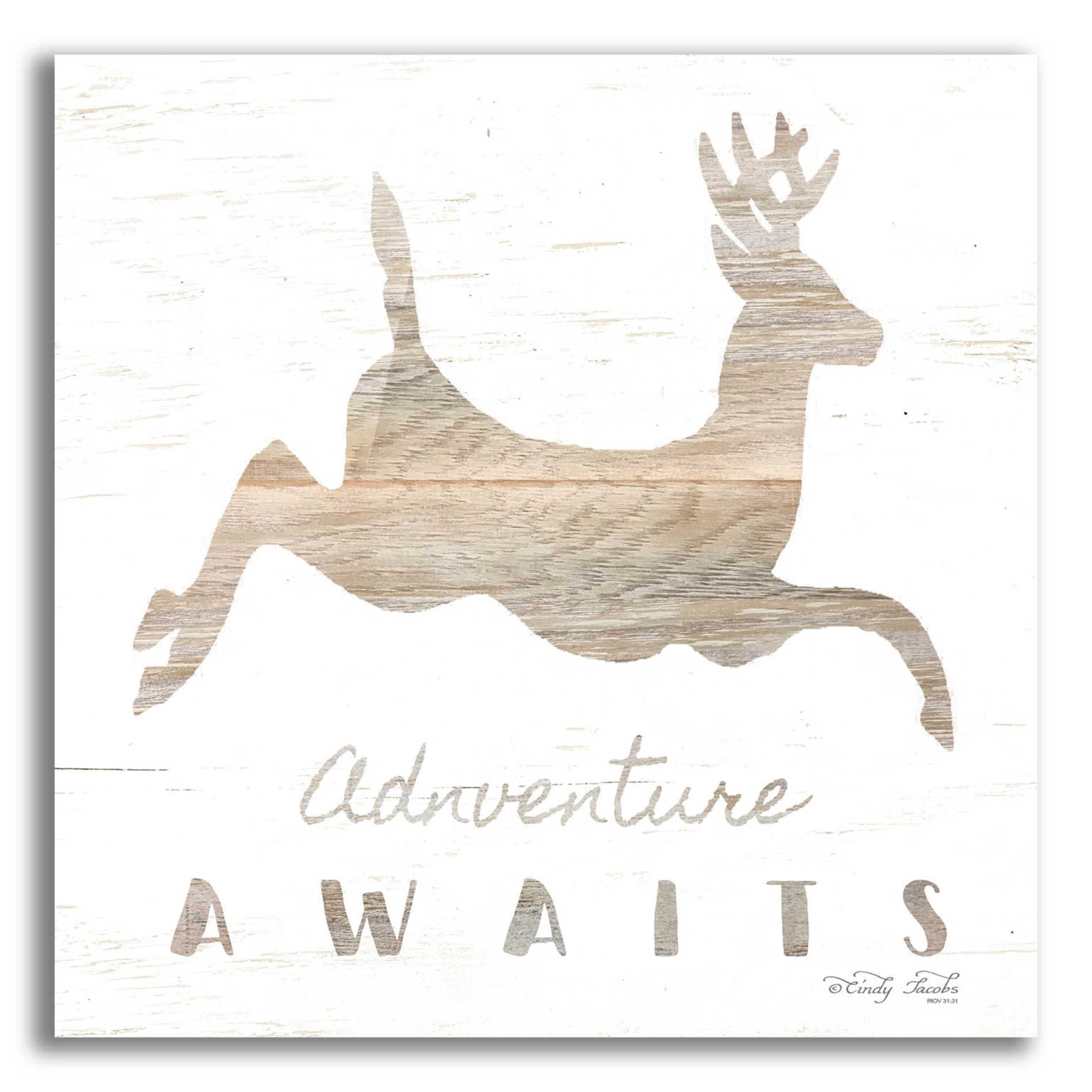 Epic Art 'Adventure Awaits Deer' by Cindy Jacobs, Acrylic Glass Wall Art,12x12