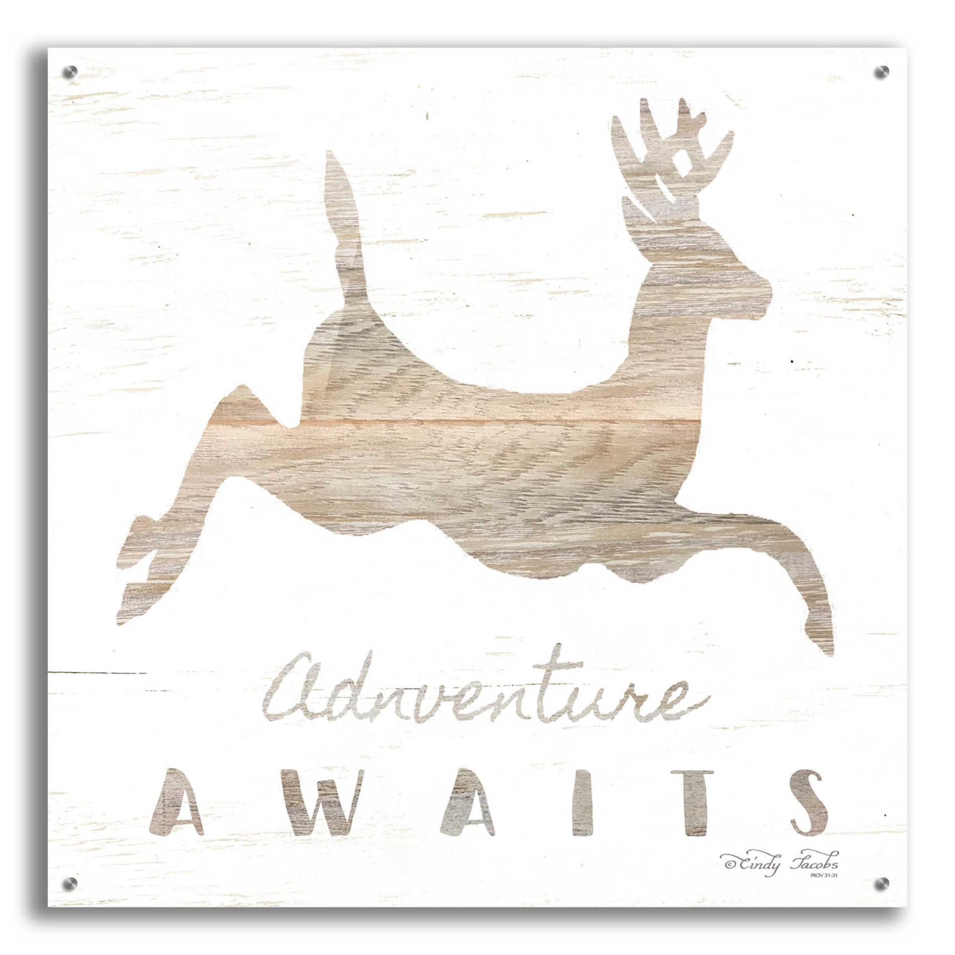 Epic Art 'Adventure Awaits Deer' by Cindy Jacobs, Acrylic Glass Wall Art,36x36