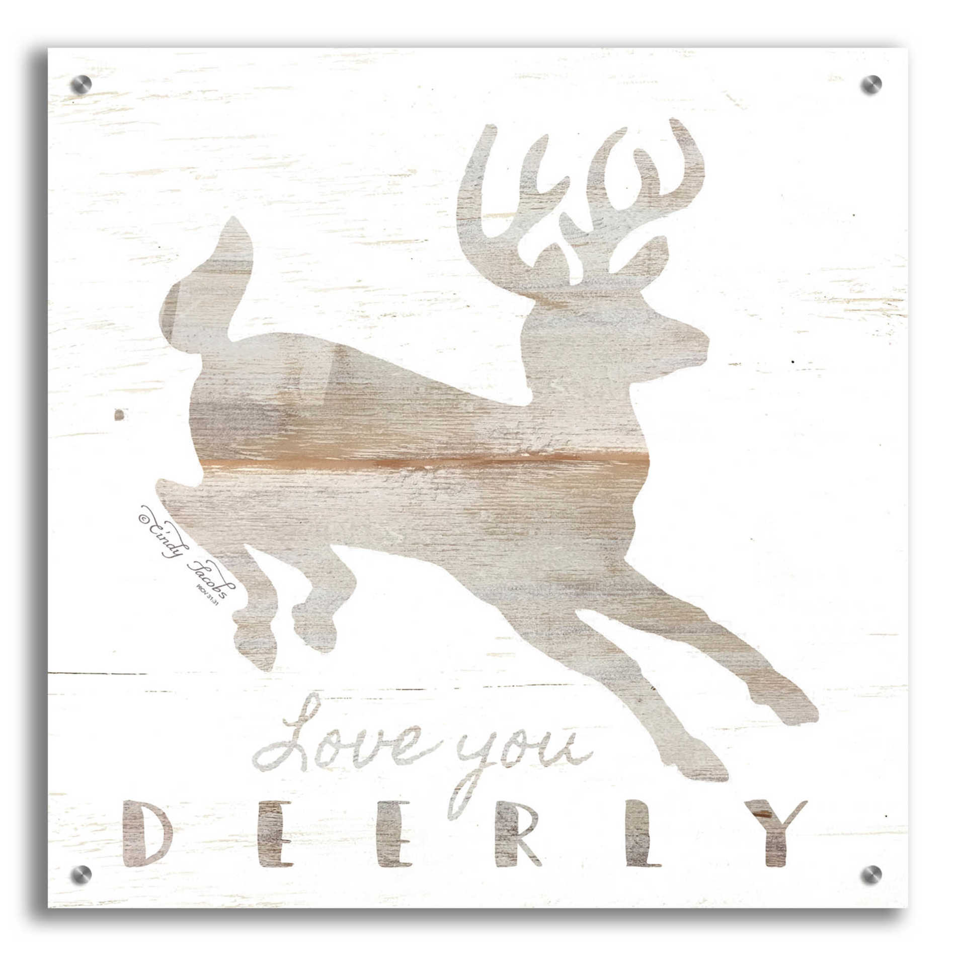 Epic Art 'Love You Deerly' by Cindy Jacobs, Acrylic Glass Wall Art,24x24