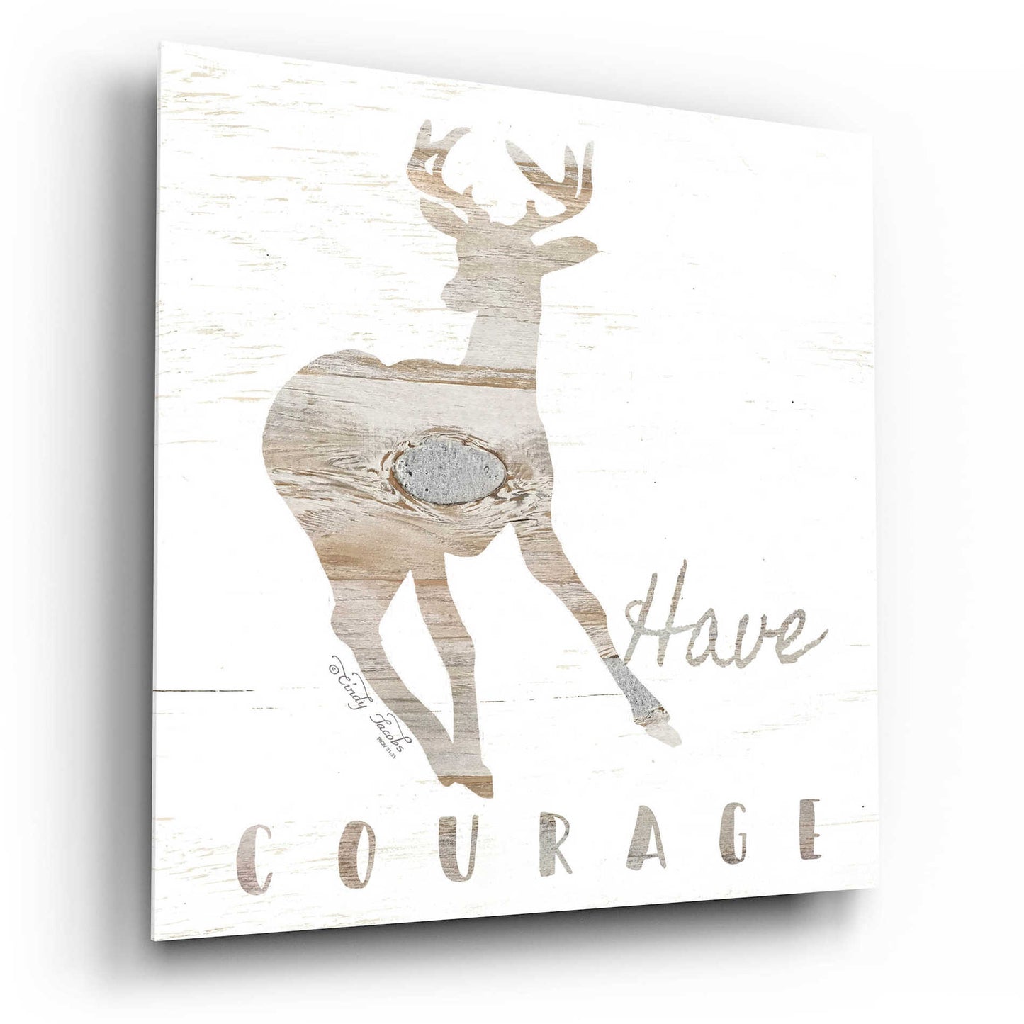 Epic Art 'Have Courage Deer' by Cindy Jacobs, Acrylic Glass Wall Art,12x12