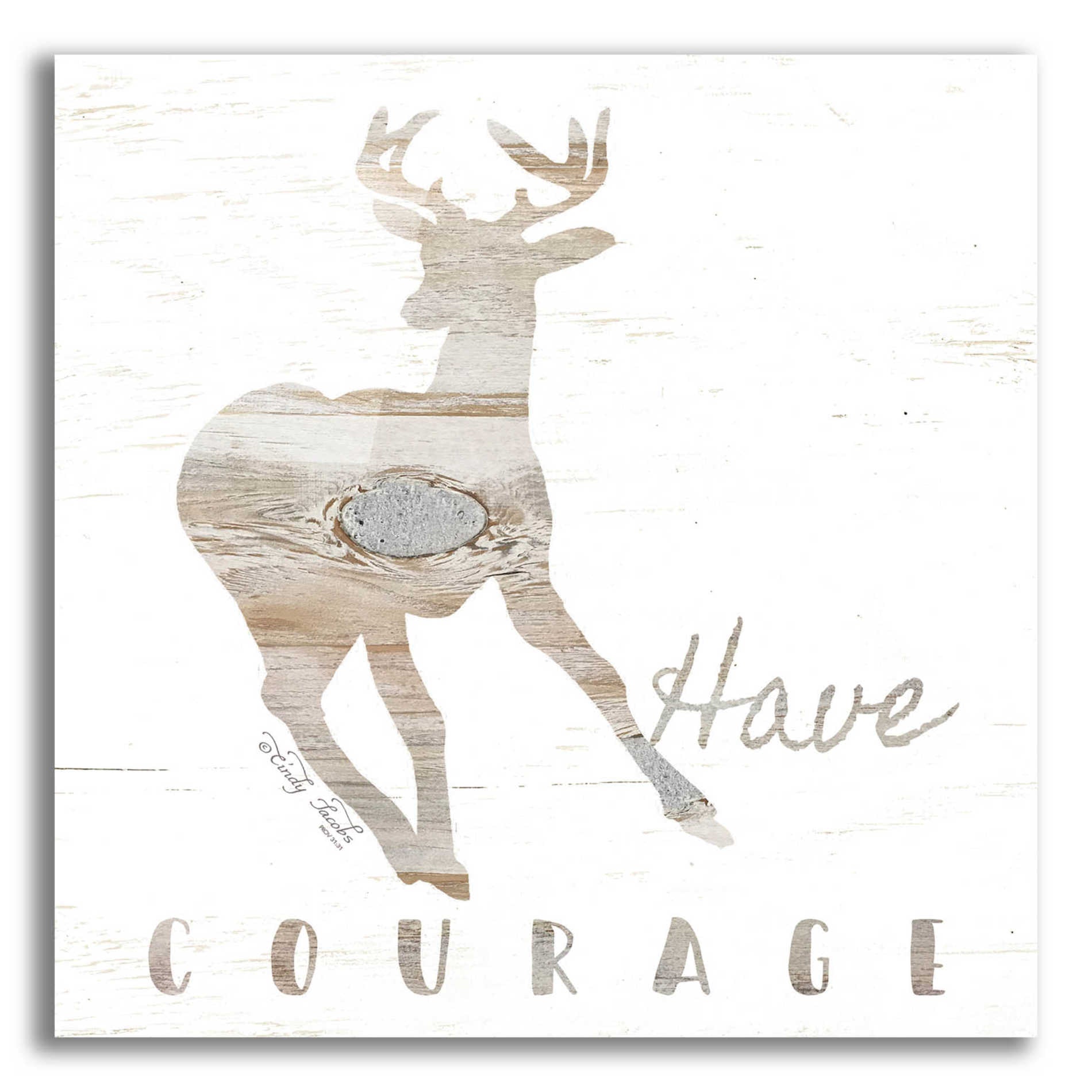 Epic Art 'Have Courage Deer' by Cindy Jacobs, Acrylic Glass Wall Art,12x12