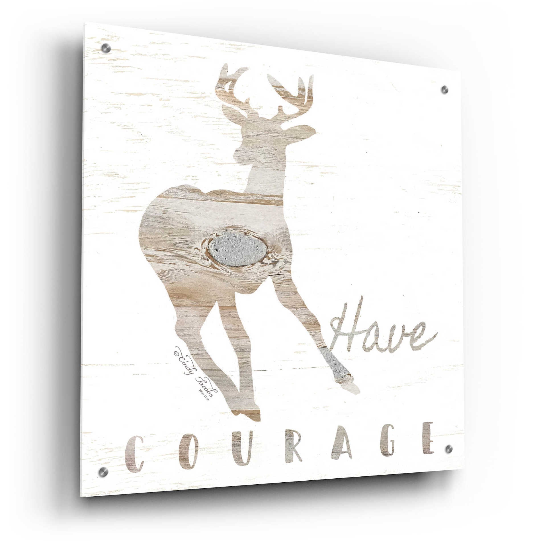 Epic Art 'Have Courage Deer' by Cindy Jacobs, Acrylic Glass Wall Art,24x24