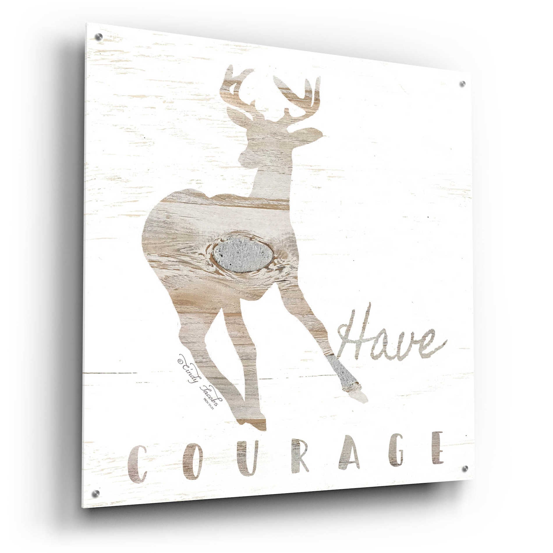 Epic Art 'Have Courage Deer' by Cindy Jacobs, Acrylic Glass Wall Art,36x36