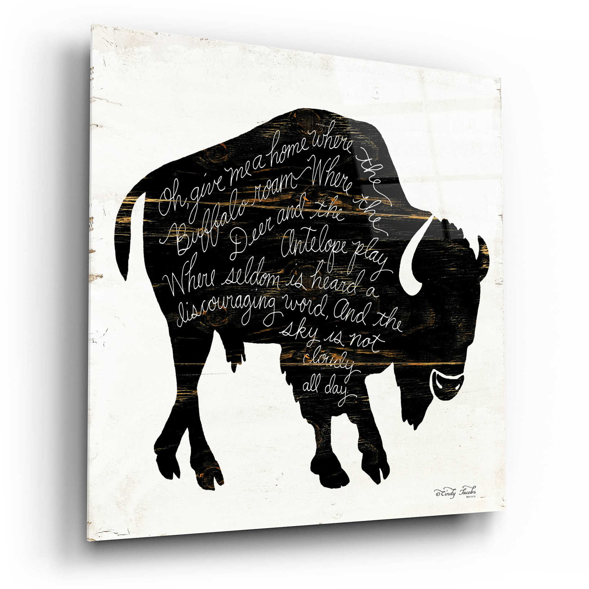 Epic Art 'Buffalo in Black' by Cindy Jacobs, Acrylic Glass Wall Art,12x12