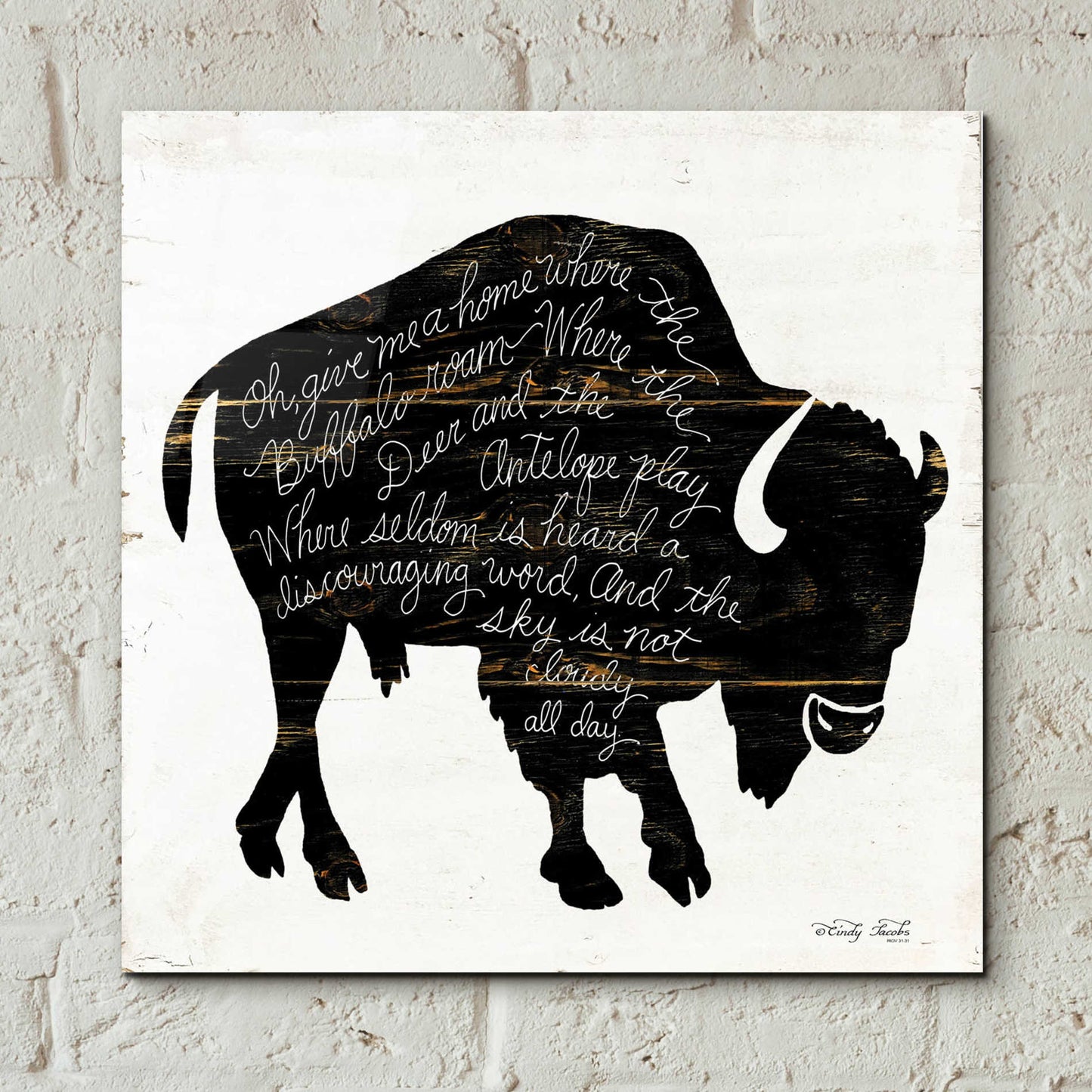 Epic Art 'Buffalo in Black' by Cindy Jacobs, Acrylic Glass Wall Art,12x12