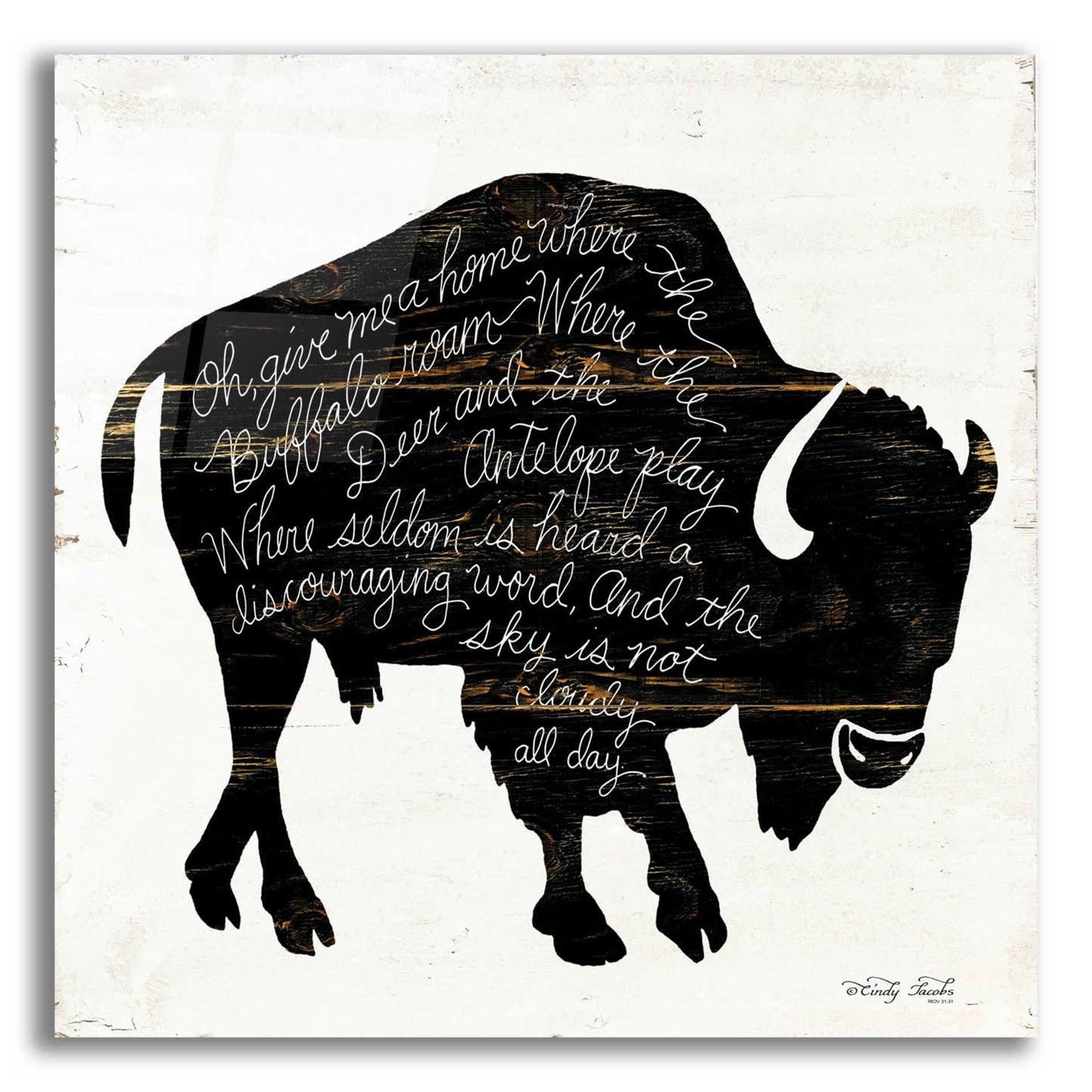 Epic Art 'Buffalo in Black' by Cindy Jacobs, Acrylic Glass Wall Art,12x12