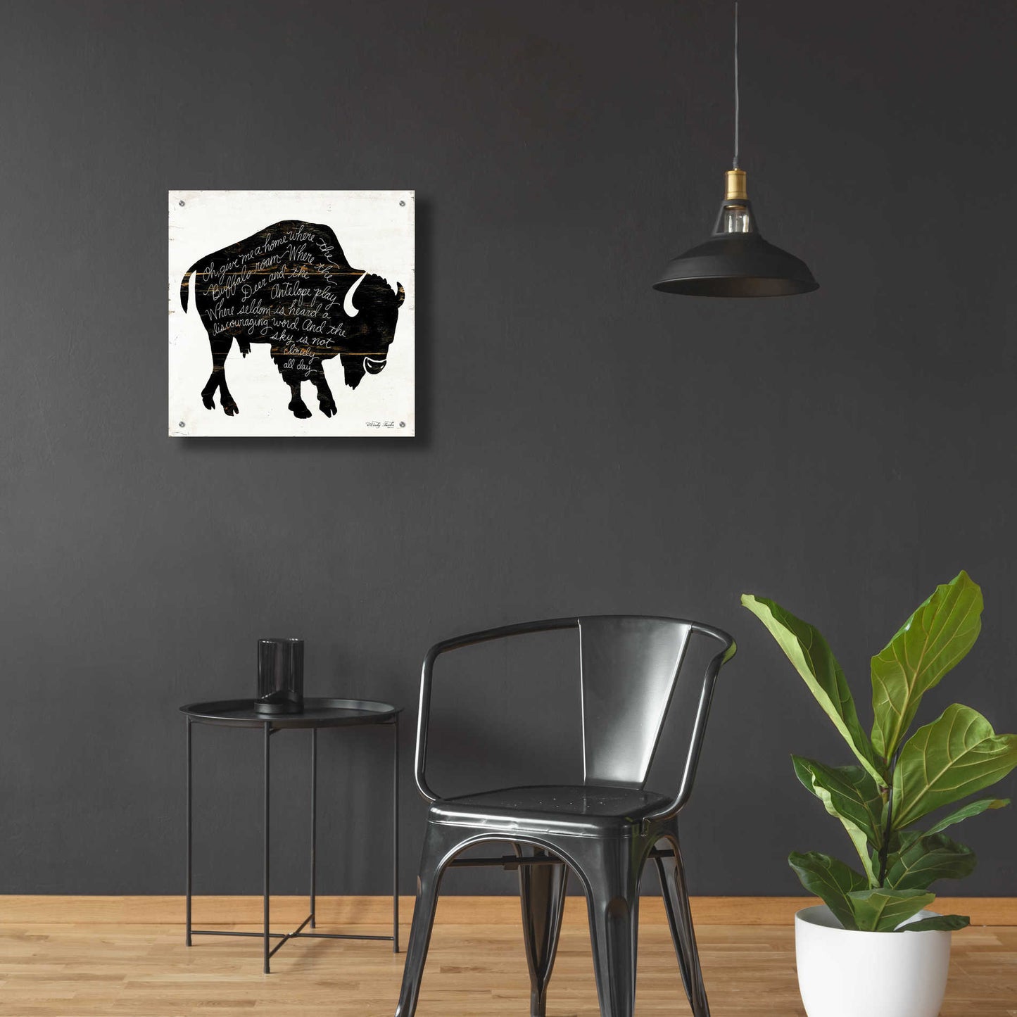 Epic Art 'Buffalo in Black' by Cindy Jacobs, Acrylic Glass Wall Art,24x24