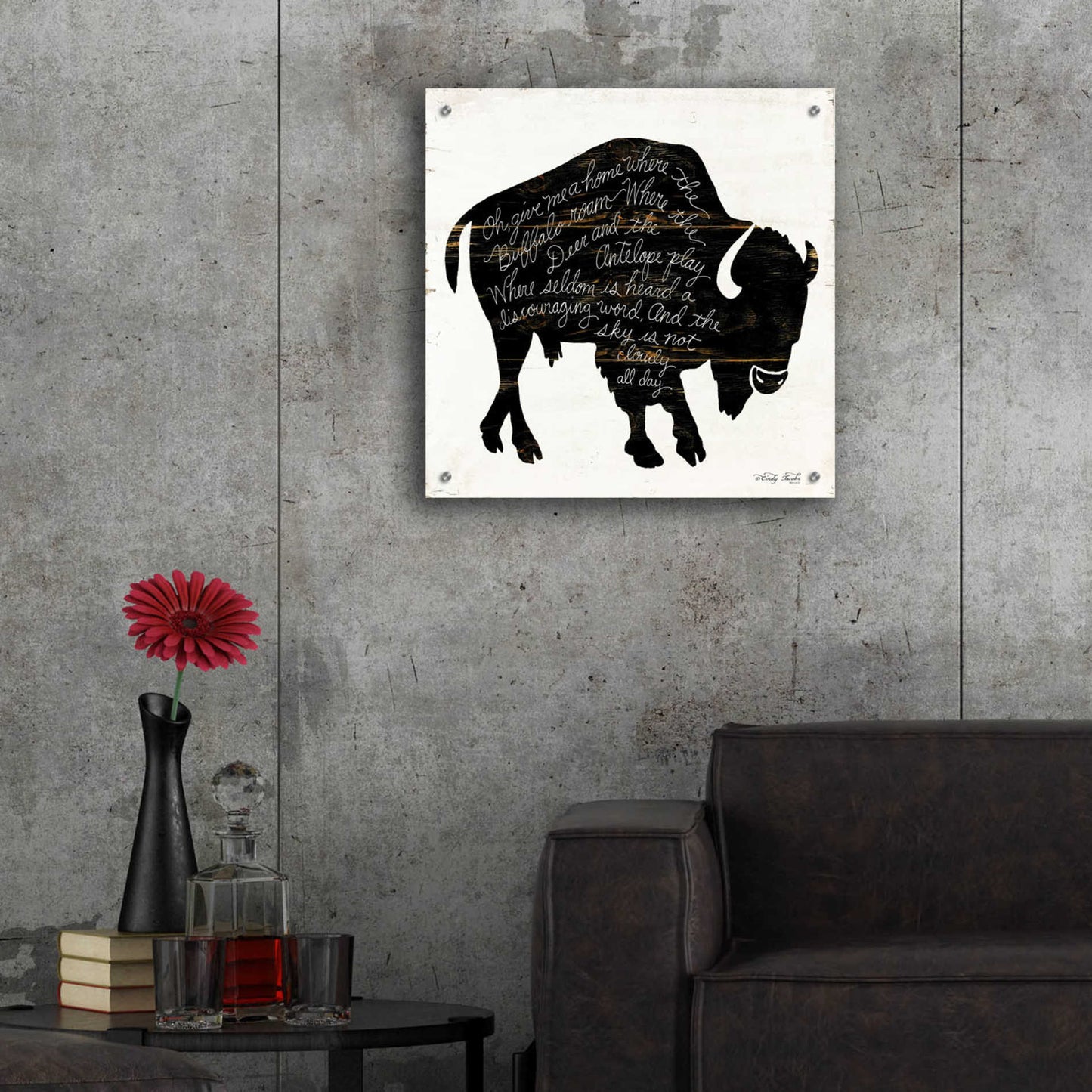 Epic Art 'Buffalo in Black' by Cindy Jacobs, Acrylic Glass Wall Art,24x24