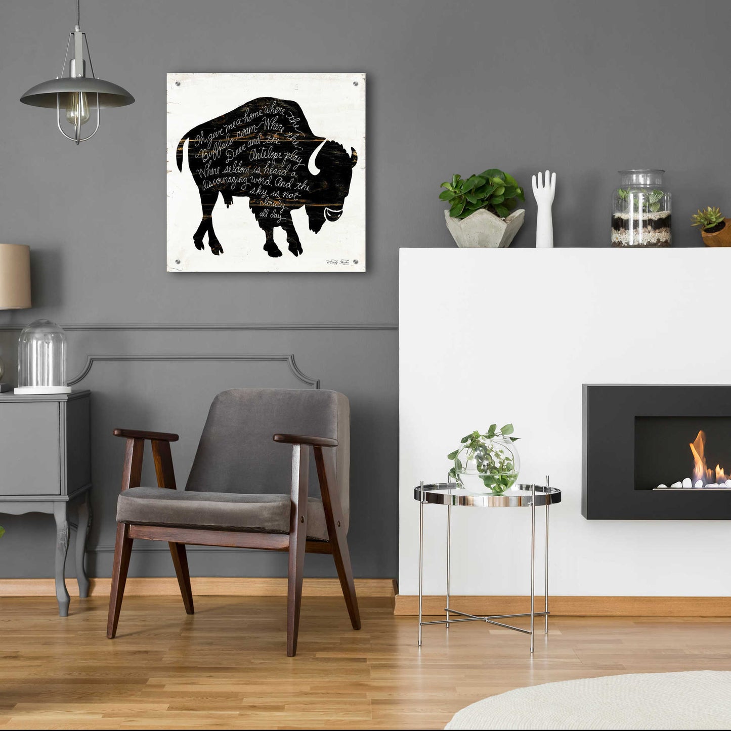 Epic Art 'Buffalo in Black' by Cindy Jacobs, Acrylic Glass Wall Art,24x24