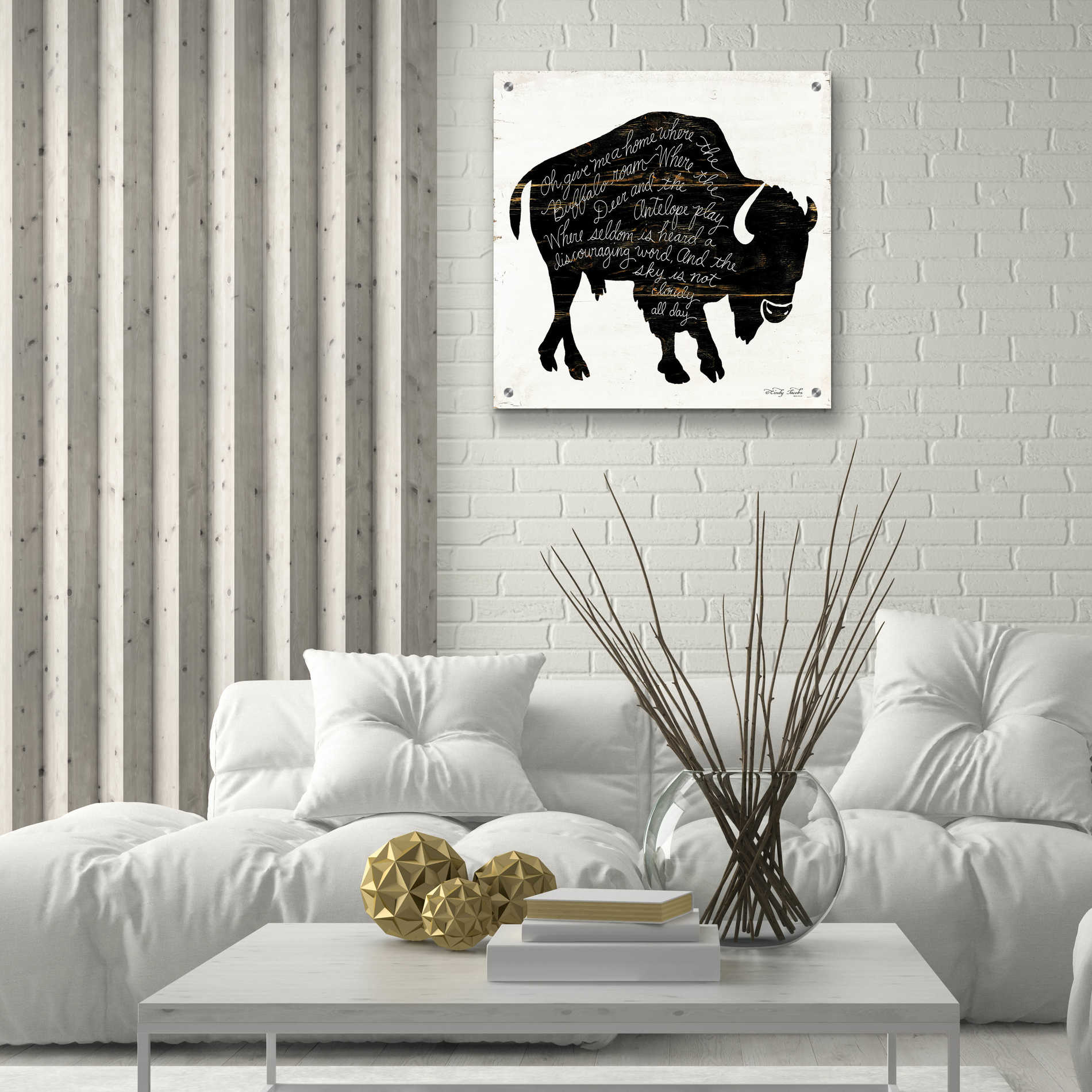 Epic Art 'Buffalo in Black' by Cindy Jacobs, Acrylic Glass Wall Art,24x24