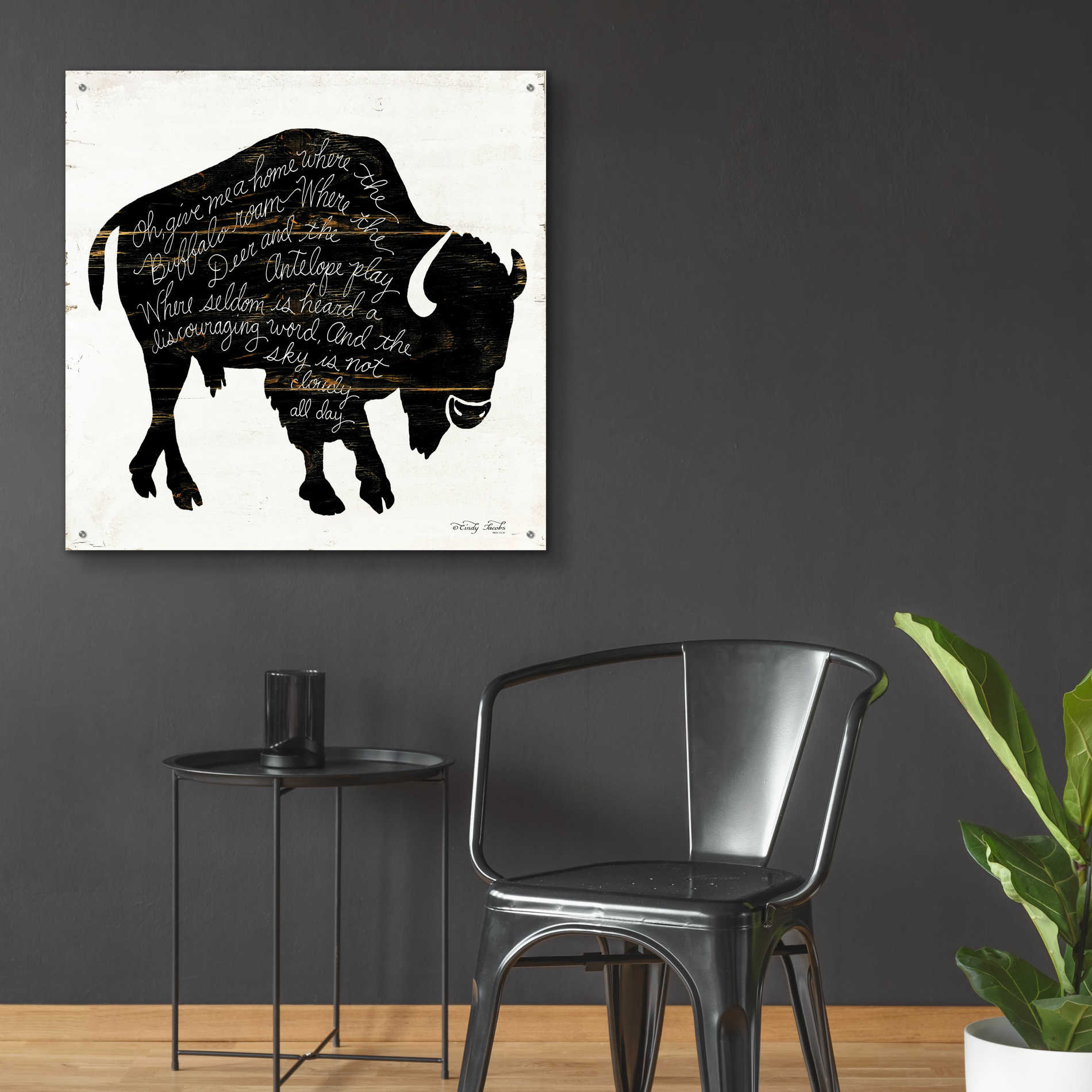 Epic Art 'Buffalo in Black' by Cindy Jacobs, Acrylic Glass Wall Art,36x36