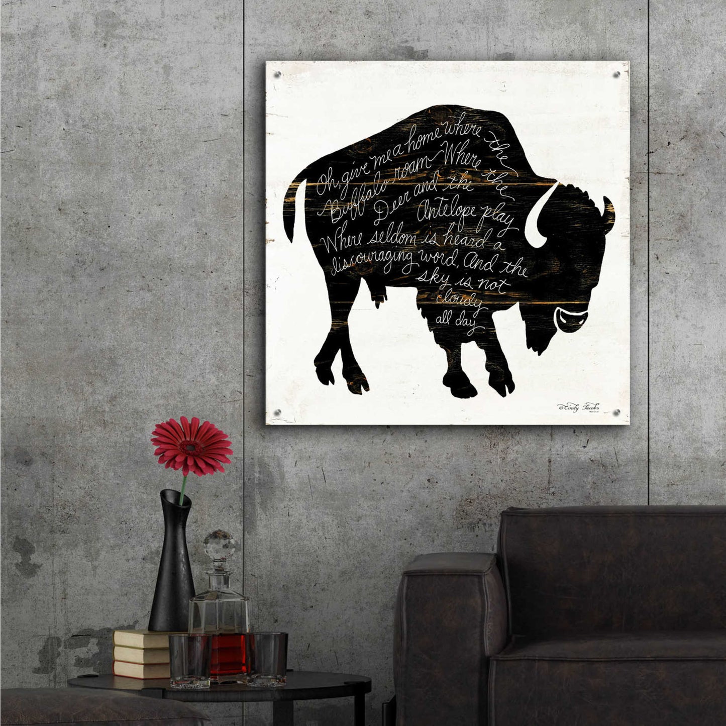 Epic Art 'Buffalo in Black' by Cindy Jacobs, Acrylic Glass Wall Art,36x36