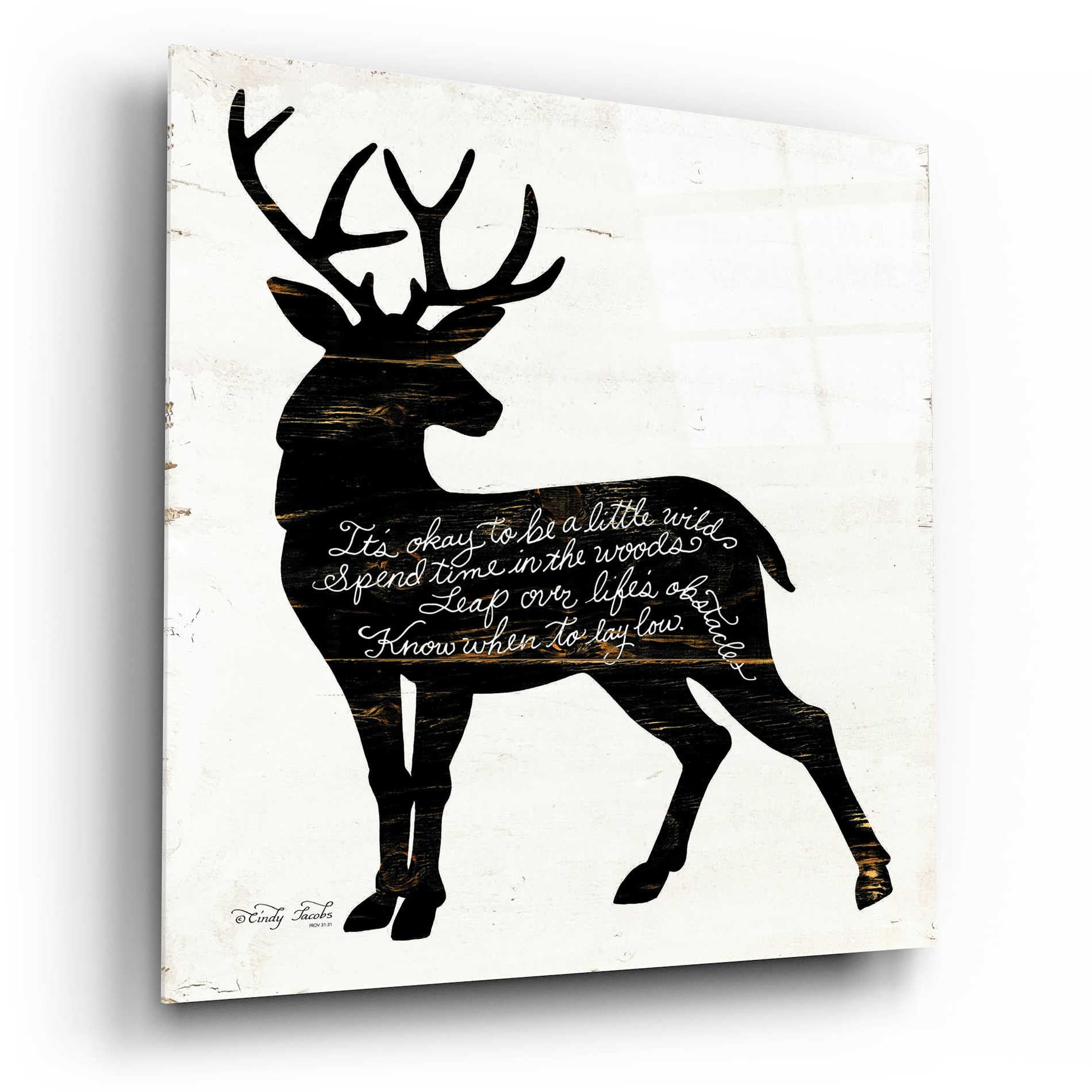 Epic Art 'Deer in Black' by Cindy Jacobs, Acrylic Glass Wall Art,12x12