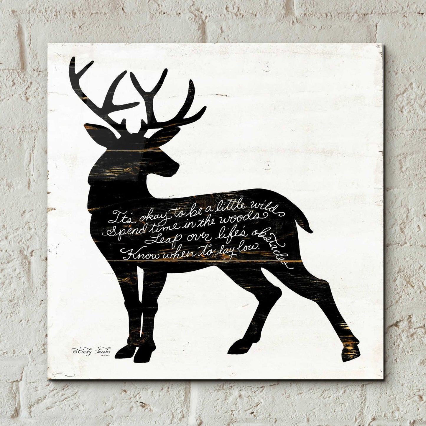 Epic Art 'Deer in Black' by Cindy Jacobs, Acrylic Glass Wall Art,12x12