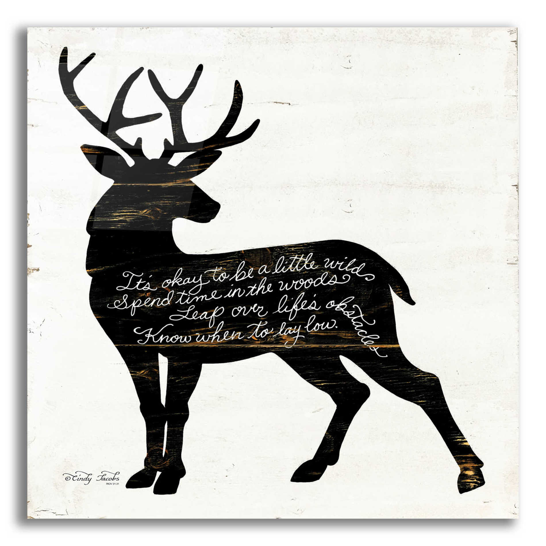 Epic Art 'Deer in Black' by Cindy Jacobs, Acrylic Glass Wall Art,12x12