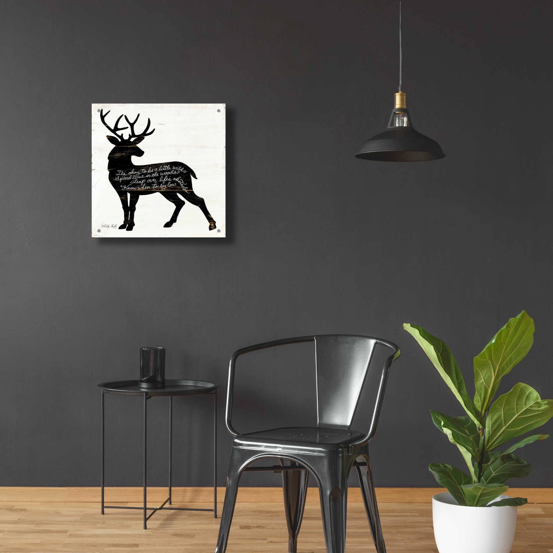 Epic Art 'Deer in Black' by Cindy Jacobs, Acrylic Glass Wall Art,24x24