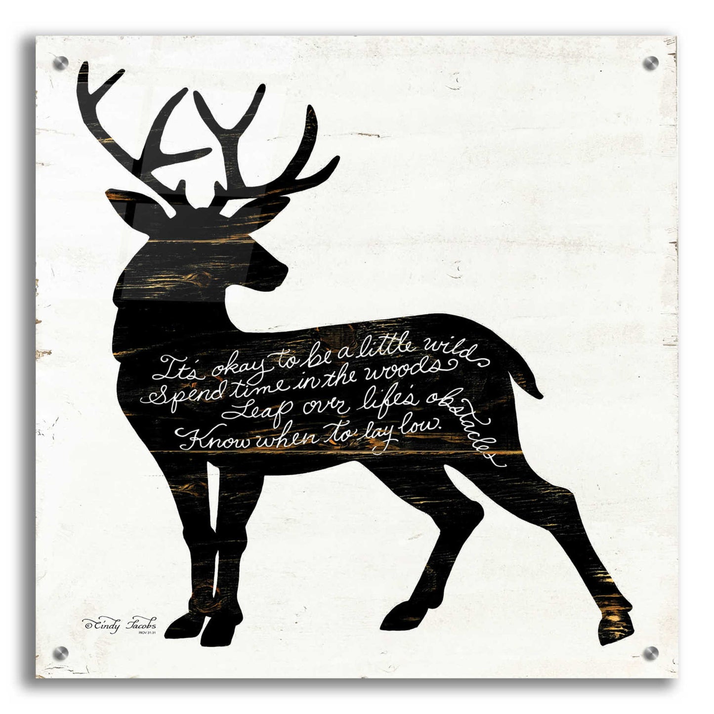 Epic Art 'Deer in Black' by Cindy Jacobs, Acrylic Glass Wall Art,24x24