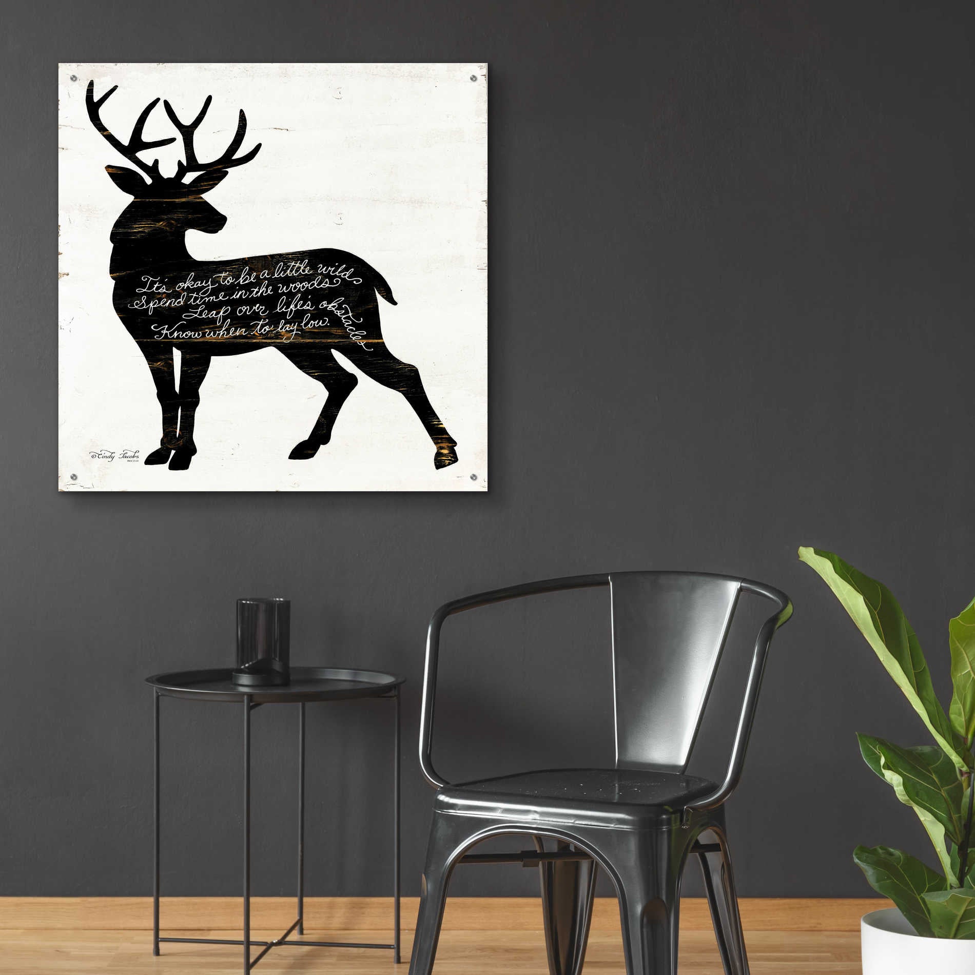 Epic Art 'Deer in Black' by Cindy Jacobs, Acrylic Glass Wall Art,36x36