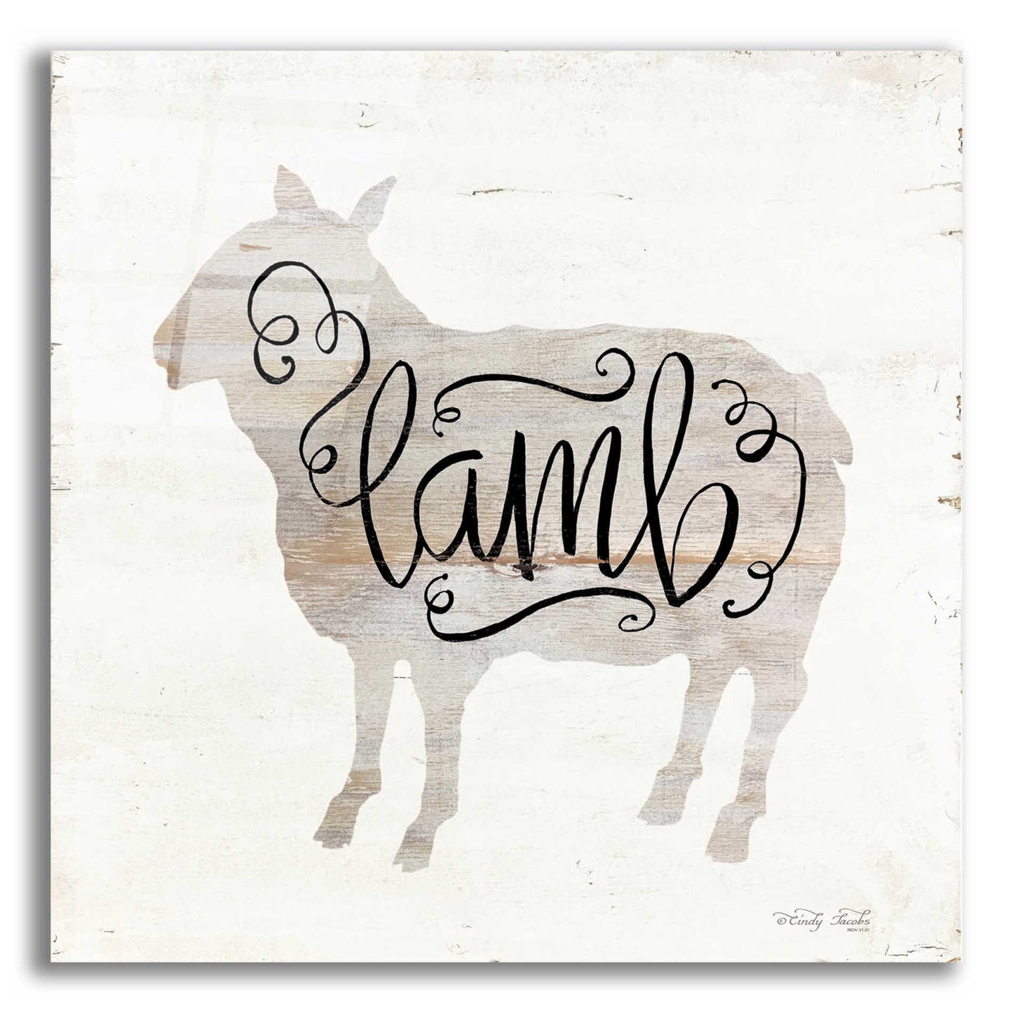 Epic Art 'Lamb in Beige' by Cindy Jacobs, Acrylic Glass Wall Art,12x12