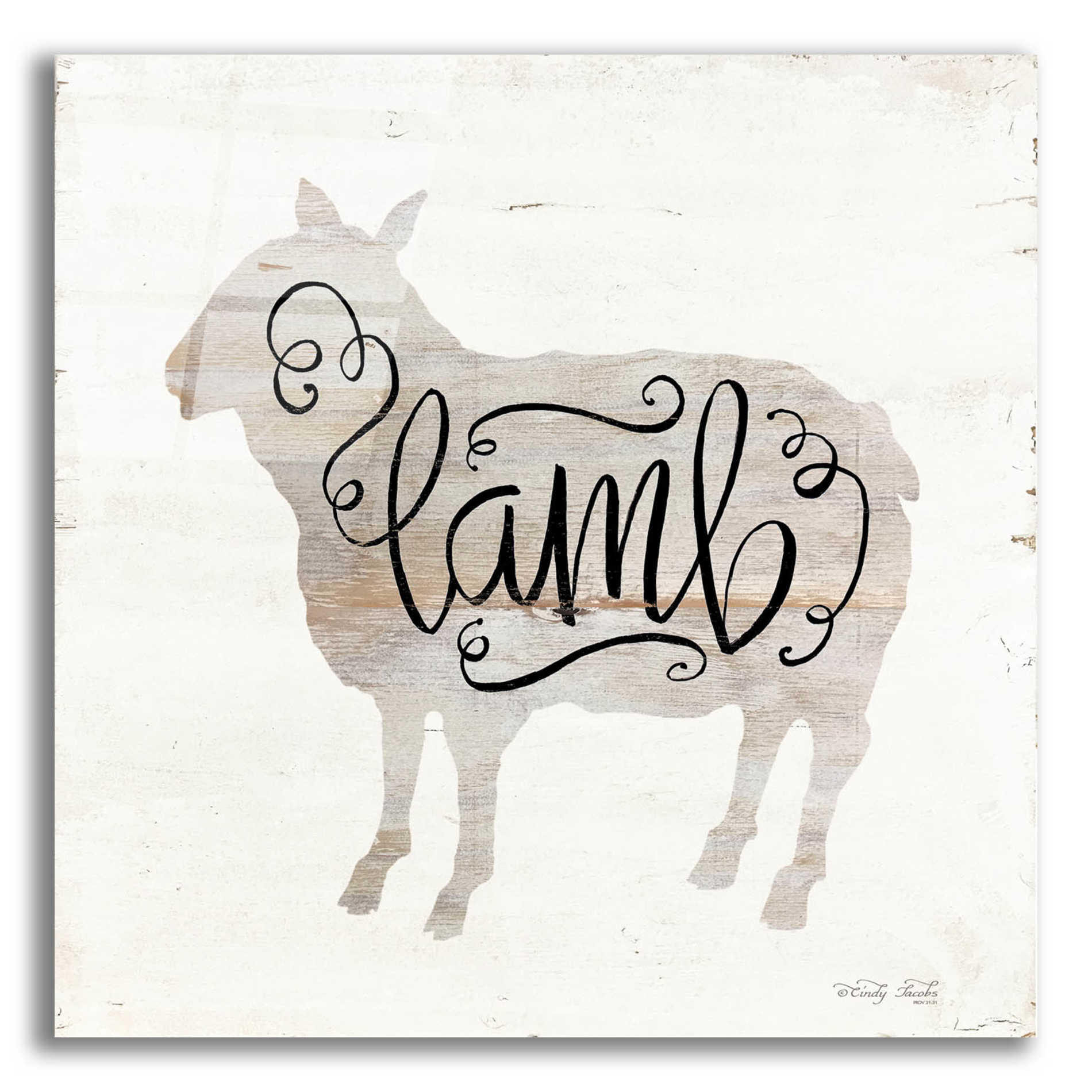 Epic Art 'Lamb in Beige' by Cindy Jacobs, Acrylic Glass Wall Art