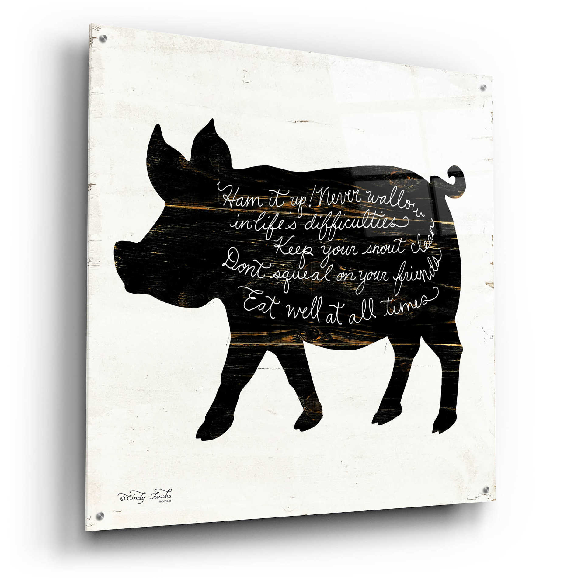 Epic Art 'Pig - Ham it Up' by Cindy Jacobs, Acrylic Glass Wall Art,36x36