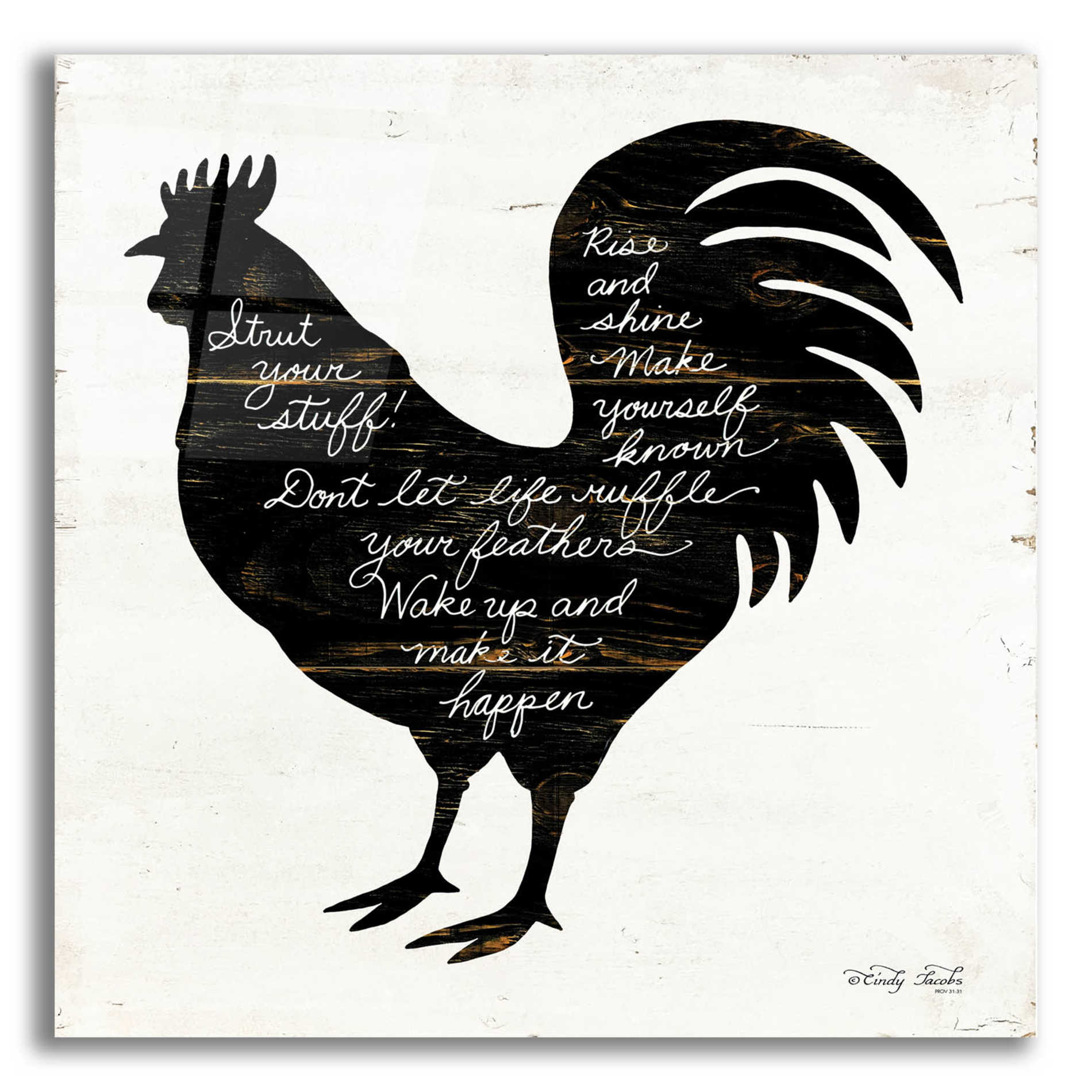 Epic Art 'Rooster - Strut Your Stuff' by Cindy Jacobs, Acrylic Glass Wall Art,12x12