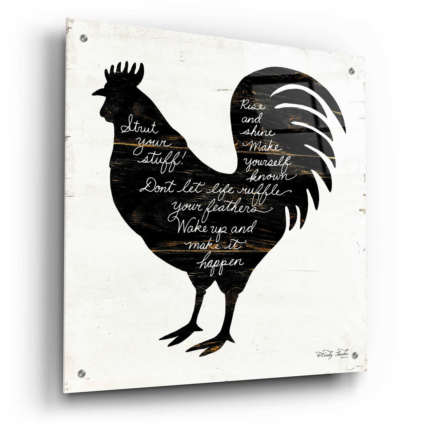 Epic Art 'Rooster - Strut Your Stuff' by Cindy Jacobs, Acrylic Glass Wall Art,24x24