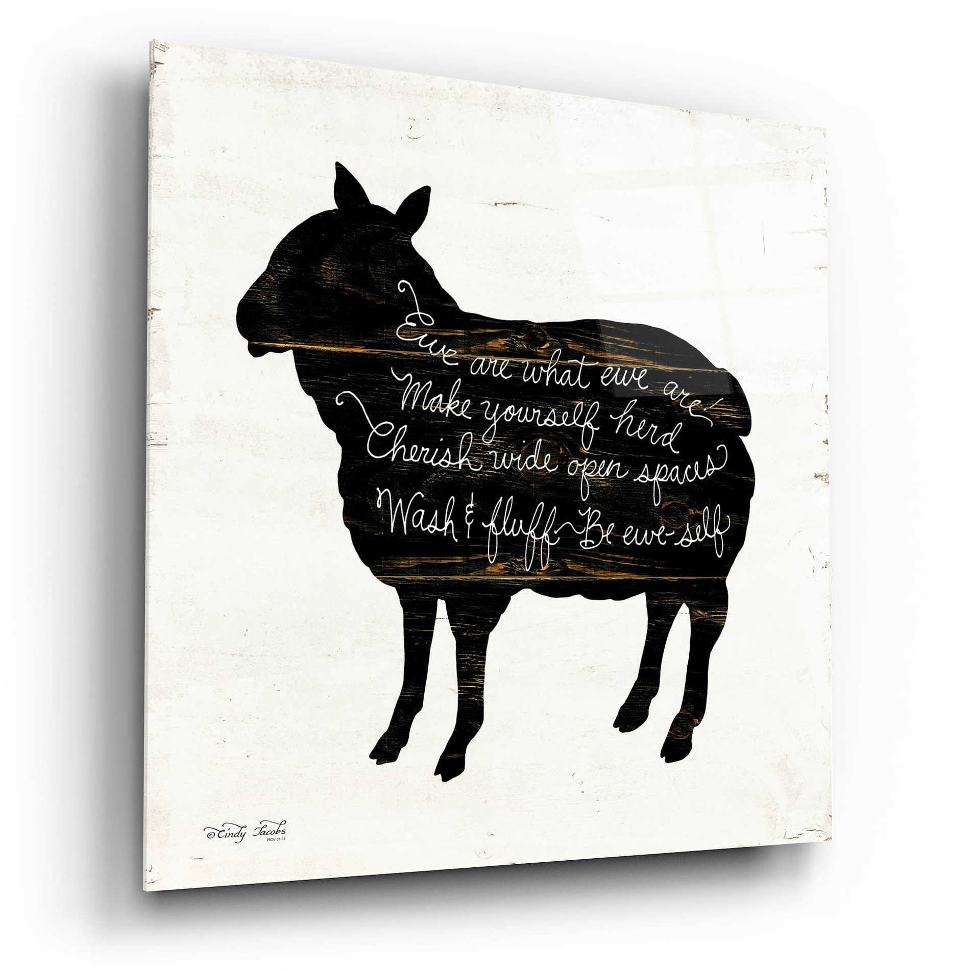 Epic Art 'Sheep - Make Yourself Herd' by Cindy Jacobs, Acrylic Glass Wall Art,12x12