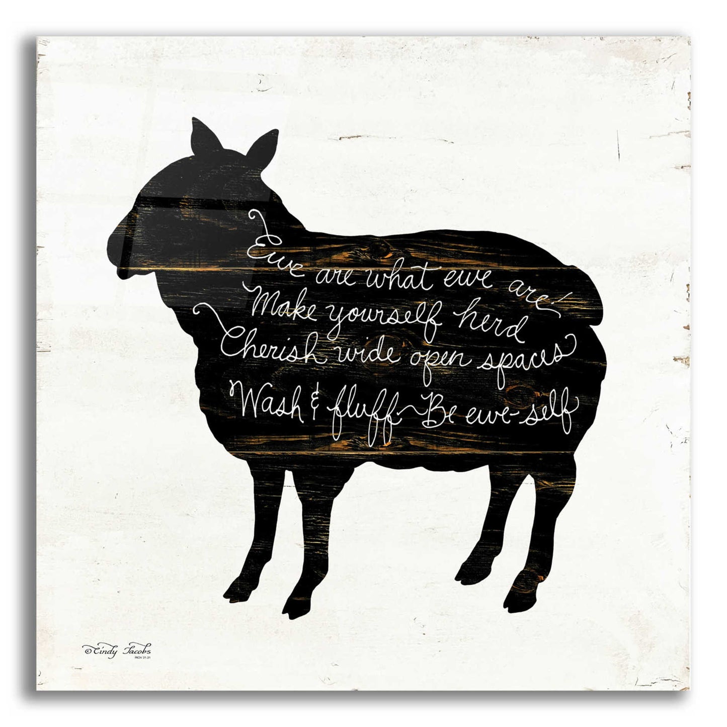 Epic Art 'Sheep - Make Yourself Herd' by Cindy Jacobs, Acrylic Glass Wall Art,12x12