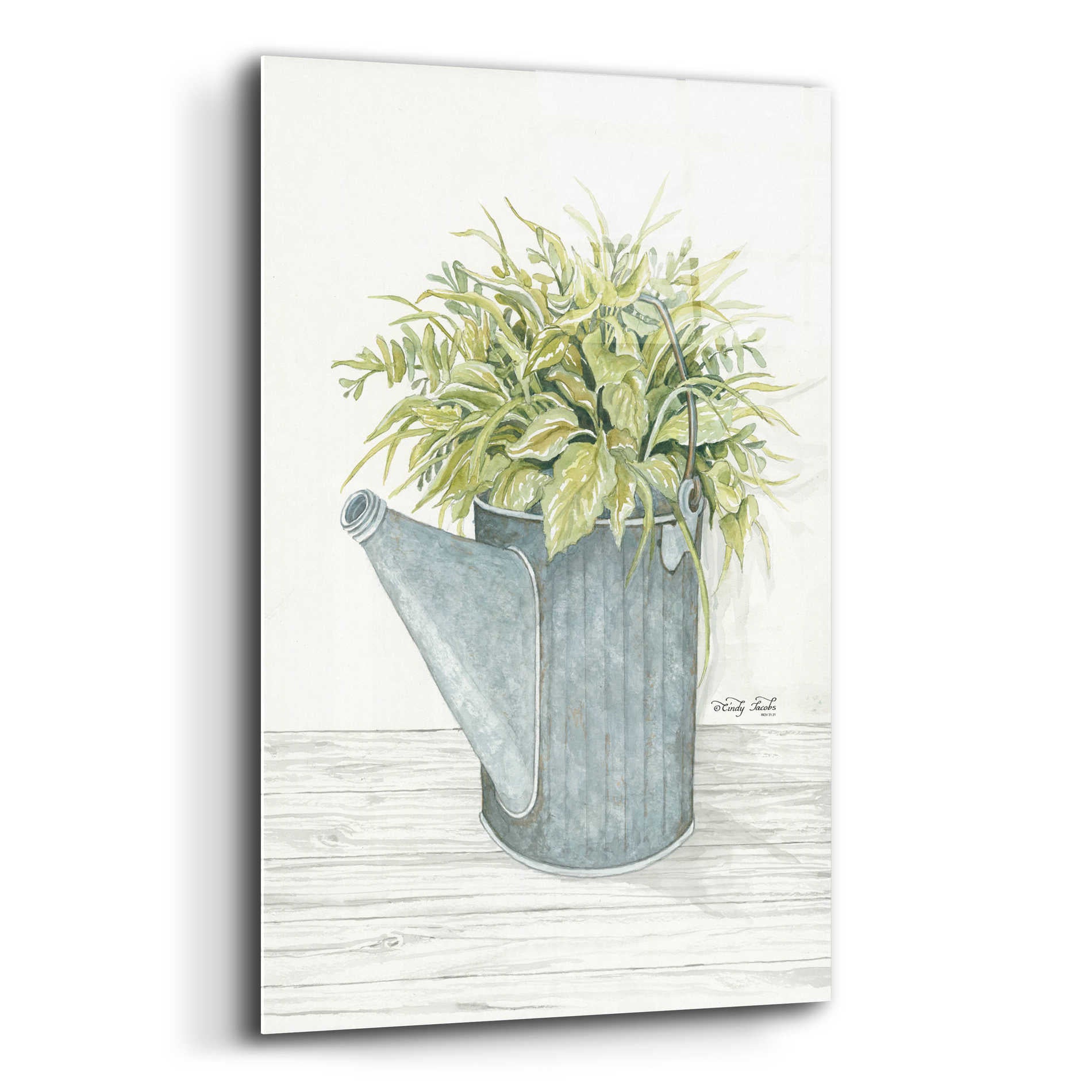 Epic Art 'Galvanized Watering Can' by Cindy Jacobs, Acrylic Glass Wall Art,12x16