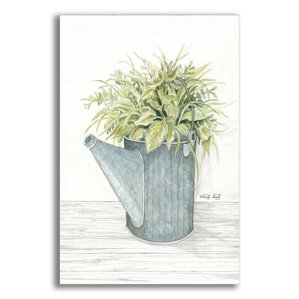 Epic Art 'Galvanized Watering Can' by Cindy Jacobs, Acrylic Glass Wall Art