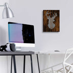 Epic Art 'Deer Head I' by Cindy Jacobs, Acrylic Glass Wall Art,12x16