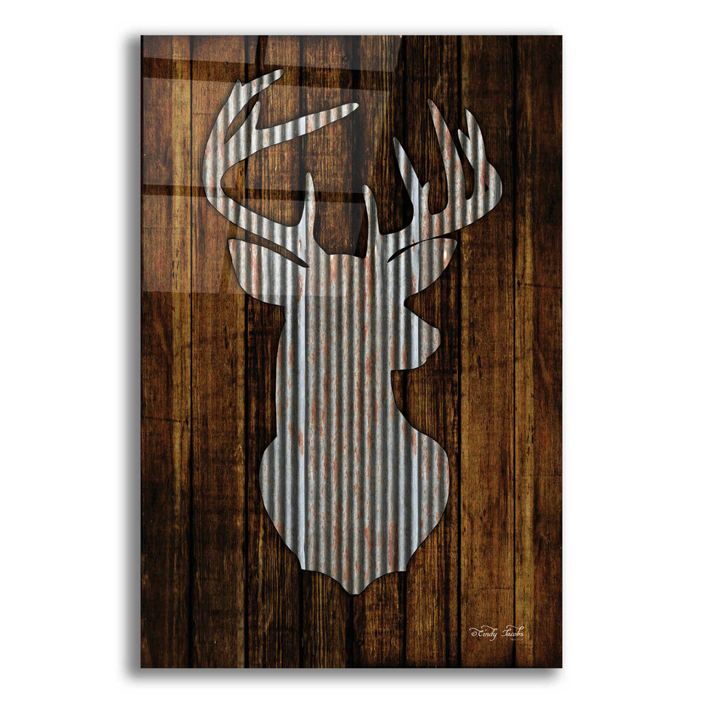 Epic Art 'Deer Head I' by Cindy Jacobs, Acrylic Glass Wall Art